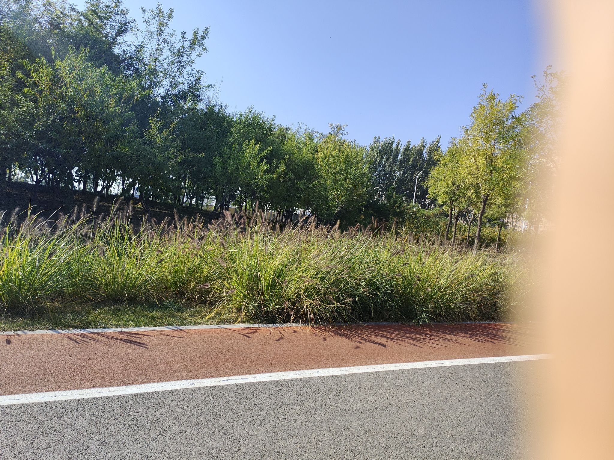 了凡公园旅行图片 2