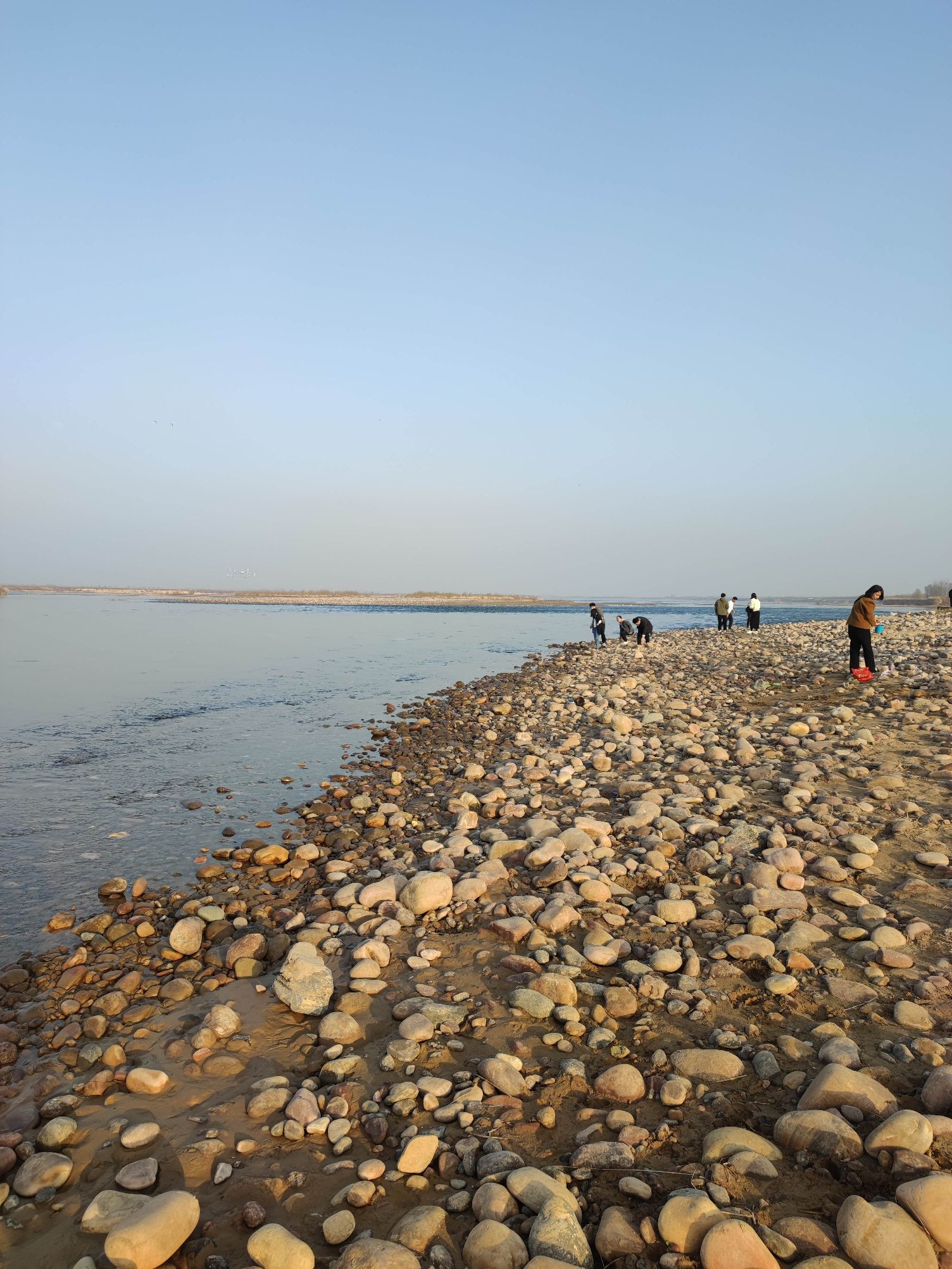 黄河湿地公园河滩旅行图片 2