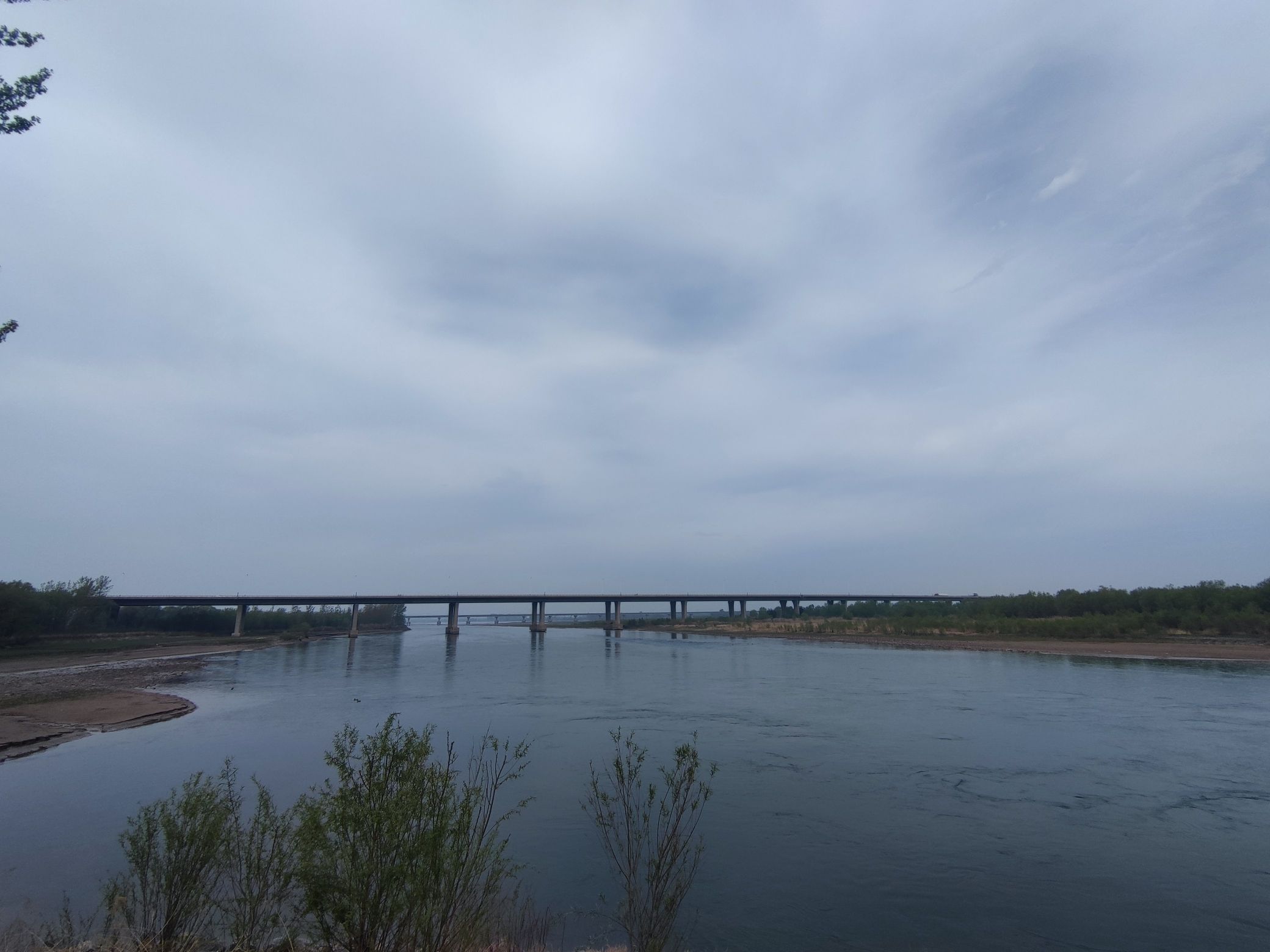 黄河湿地公园河滩旅行图片 2
