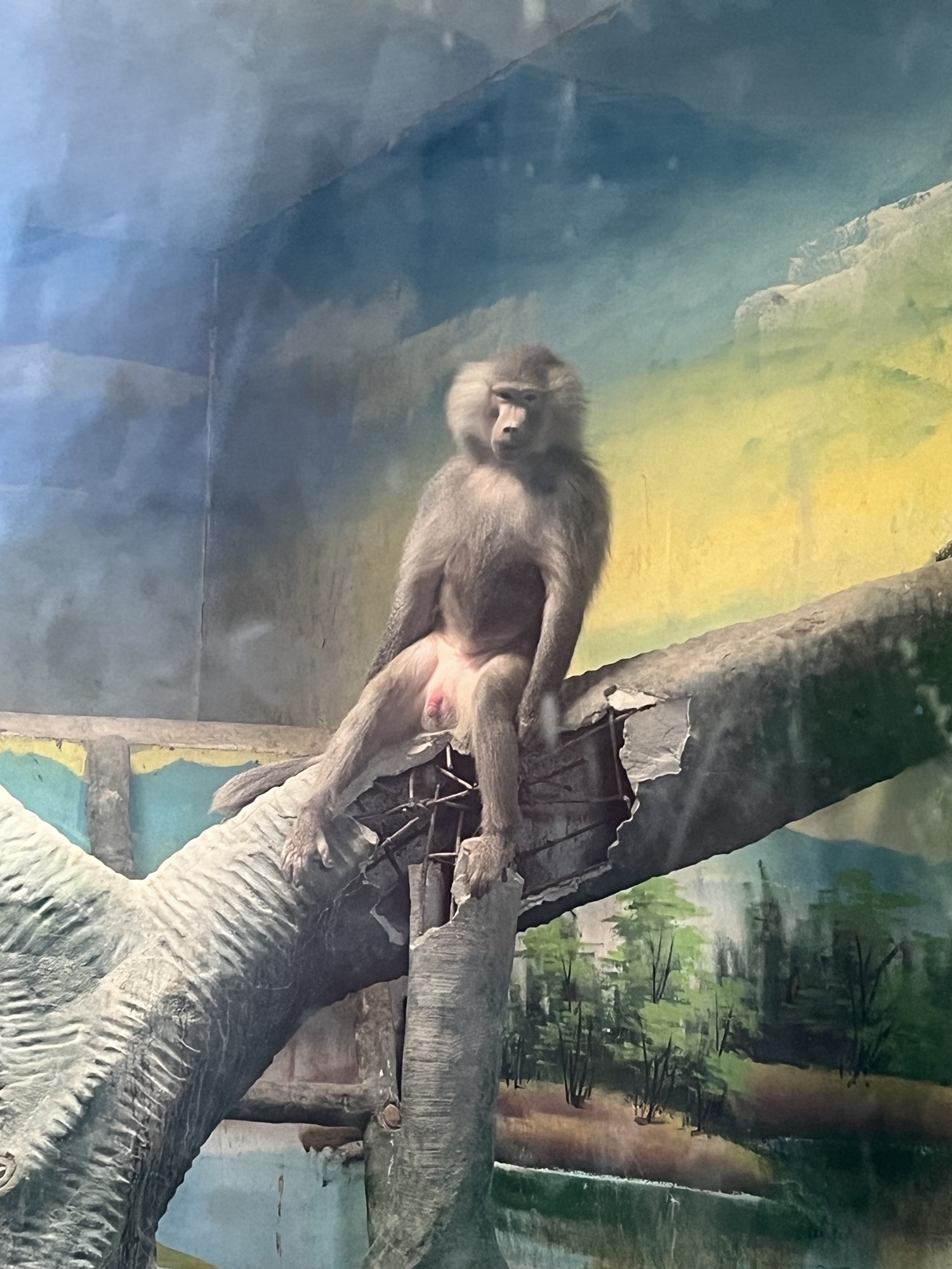 乐陵动物园旅行图片 3