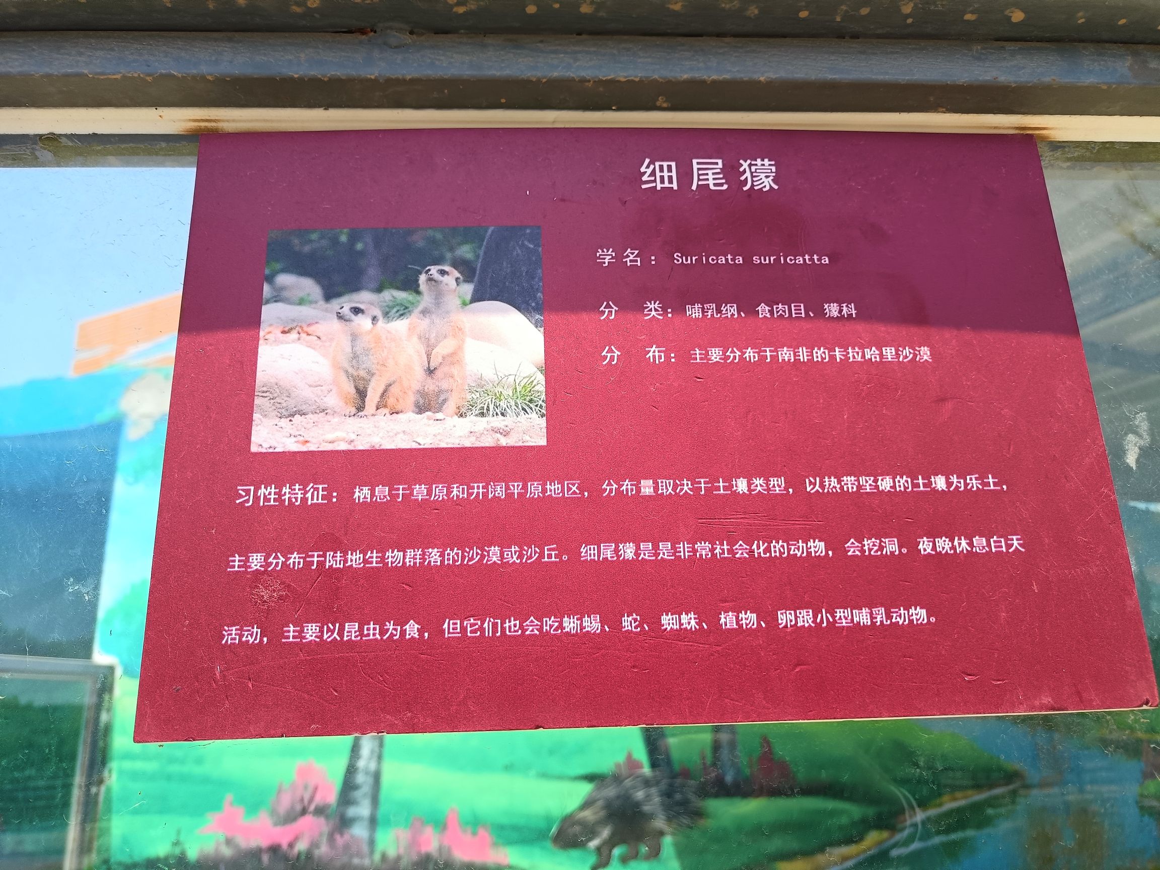 乐陵动物园旅行图片 2