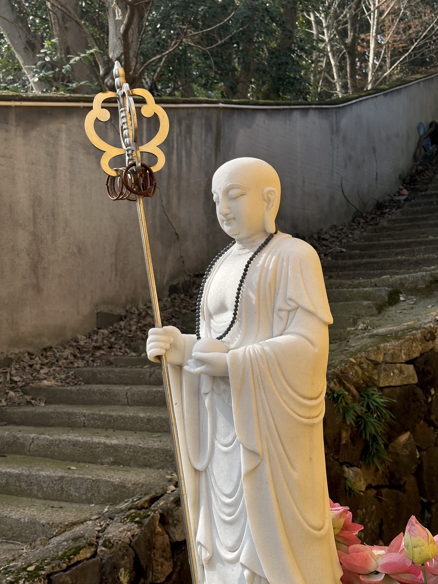 紫竹禅院旅行图片 2