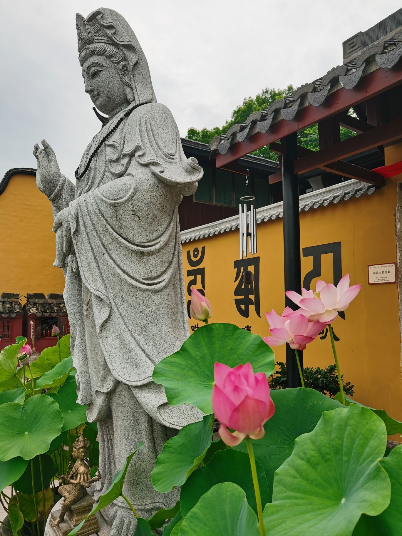 紫竹禅院旅行图片 3