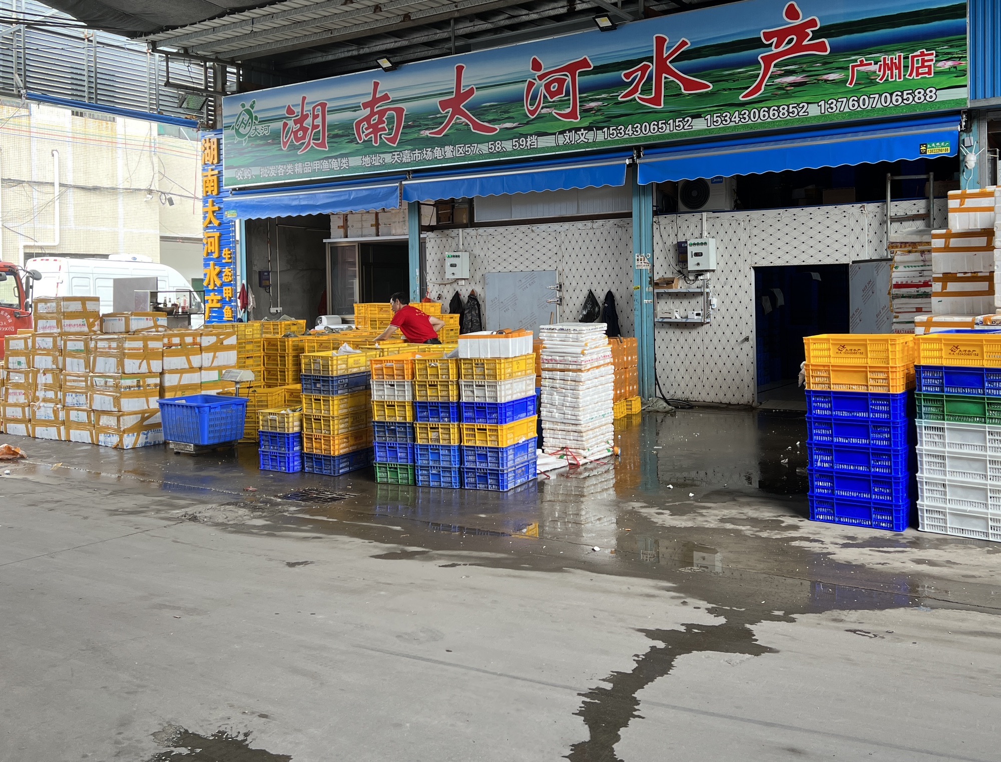 汉寿大河水产(广州天嘉店)