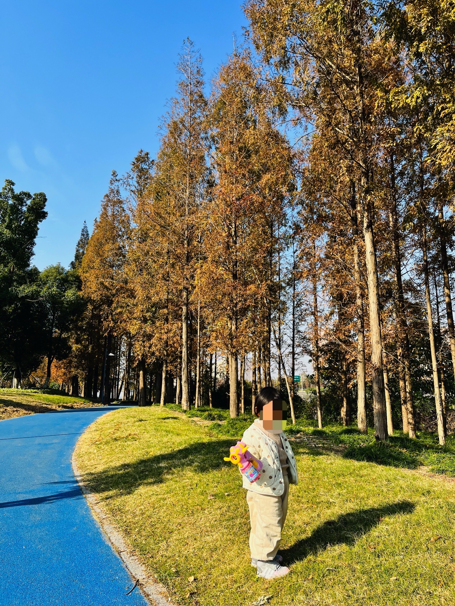 太仓塘滨水公园旅行图片 3