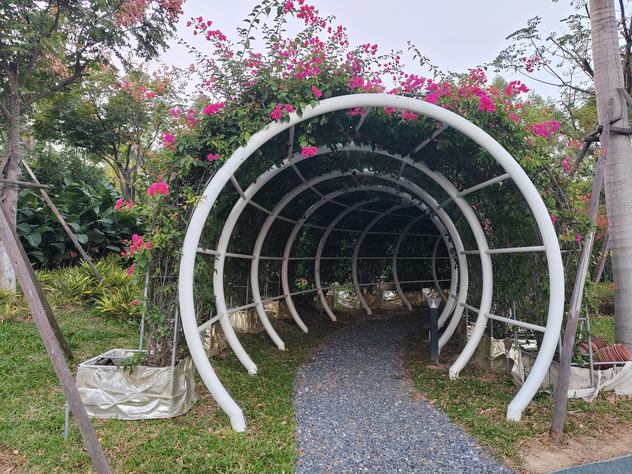 八闽园旅行图片 2