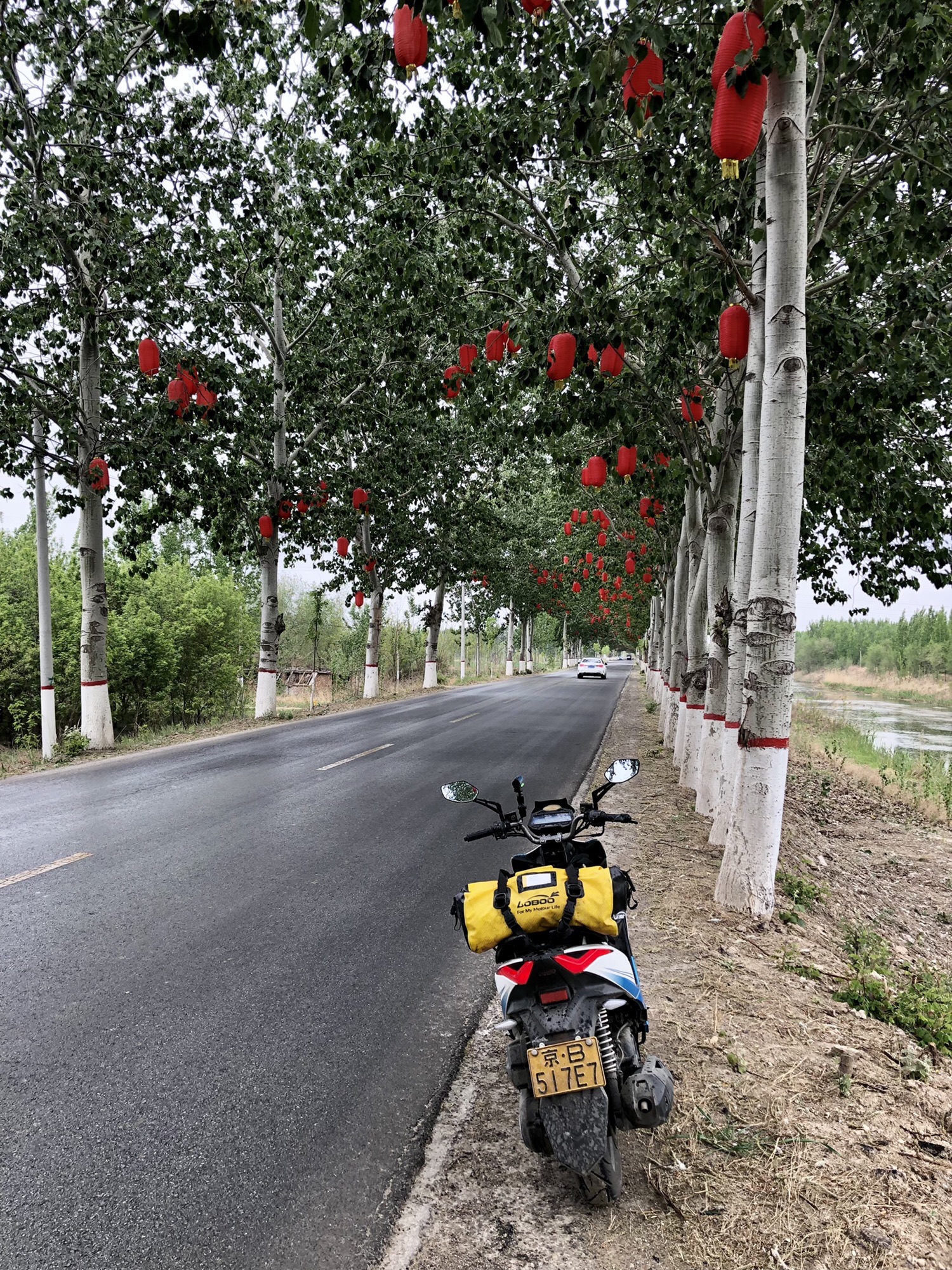 鄚州大庙遗址旅行图片 1
