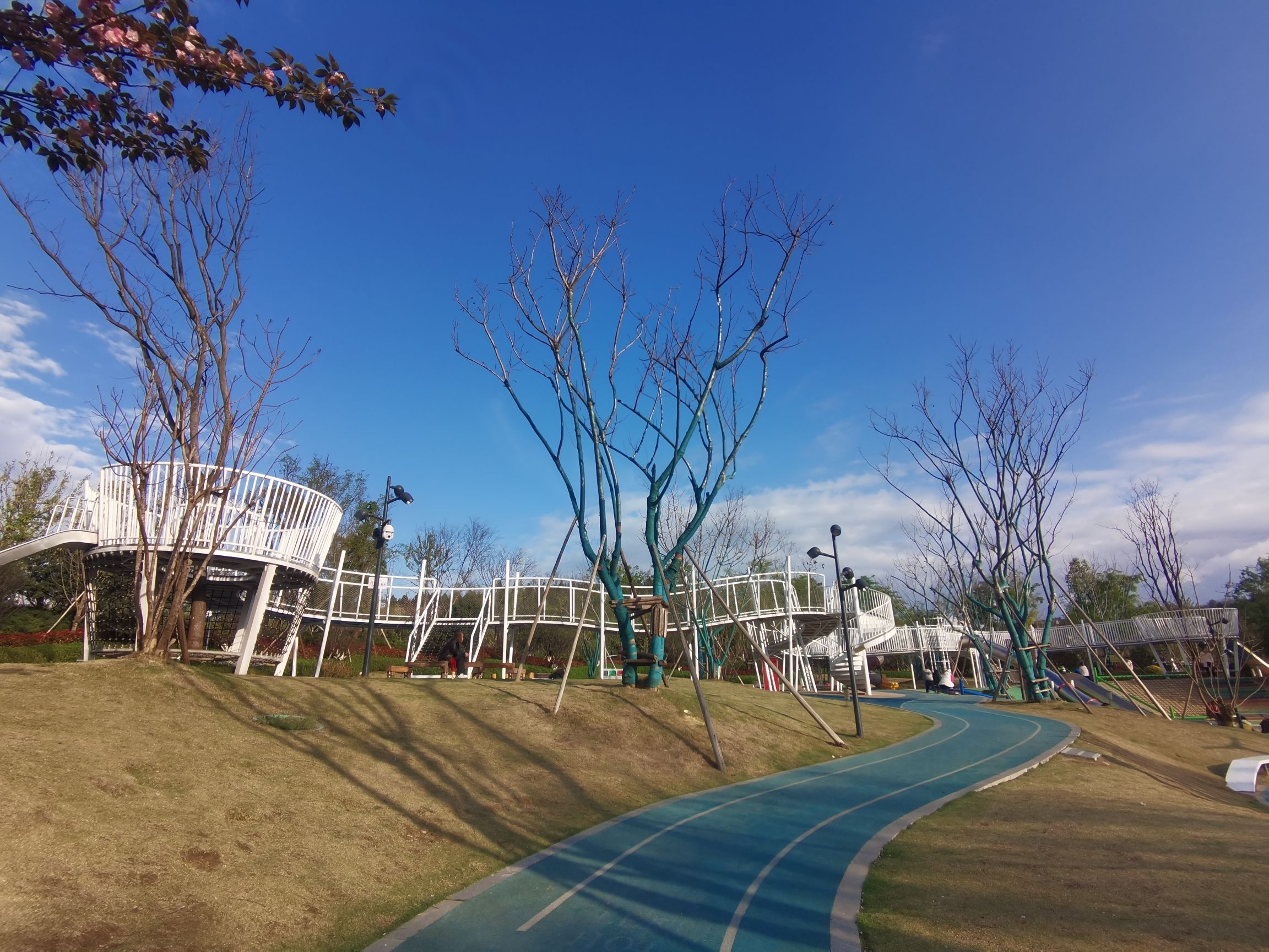 东山公园旅行图片 3