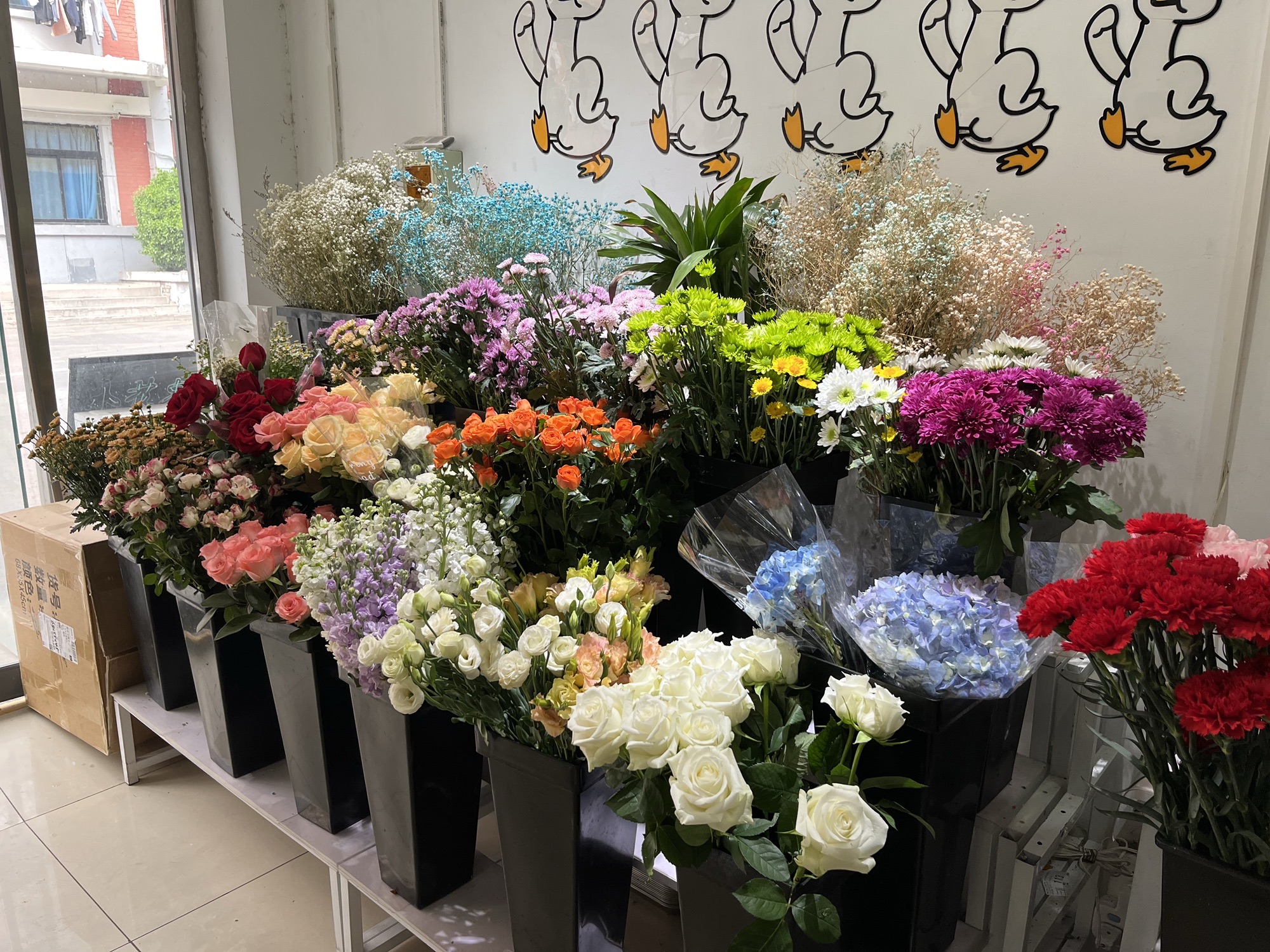 知行鲜花(北京交通大学店)