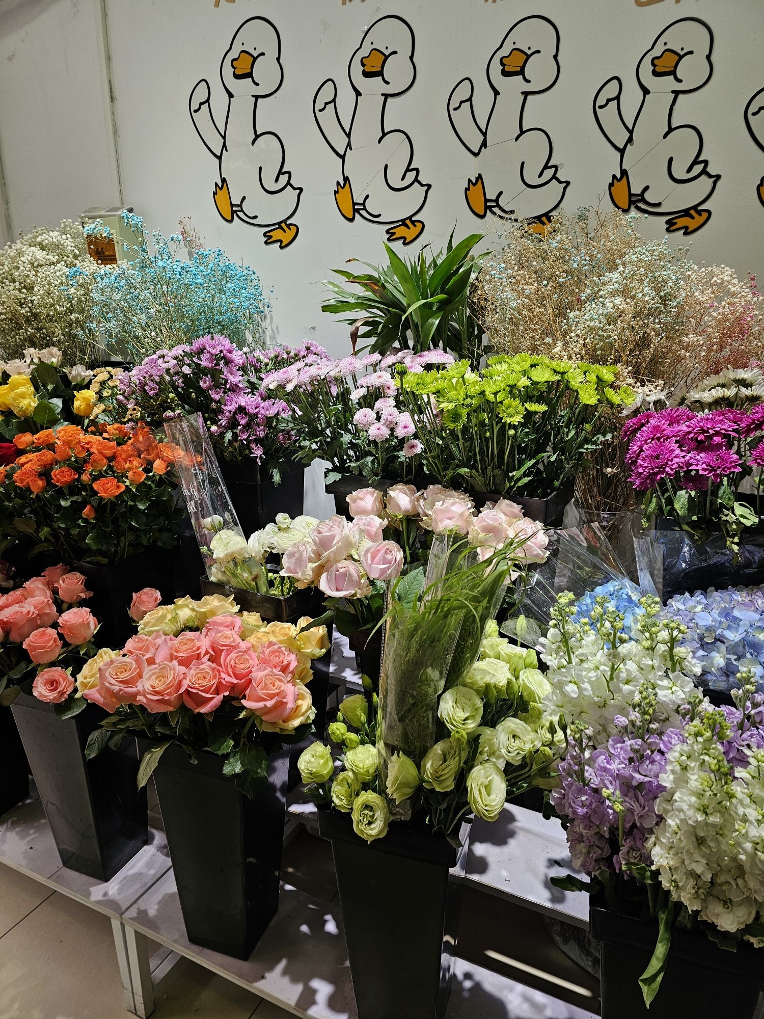 知行鲜花(北京交通大学店)