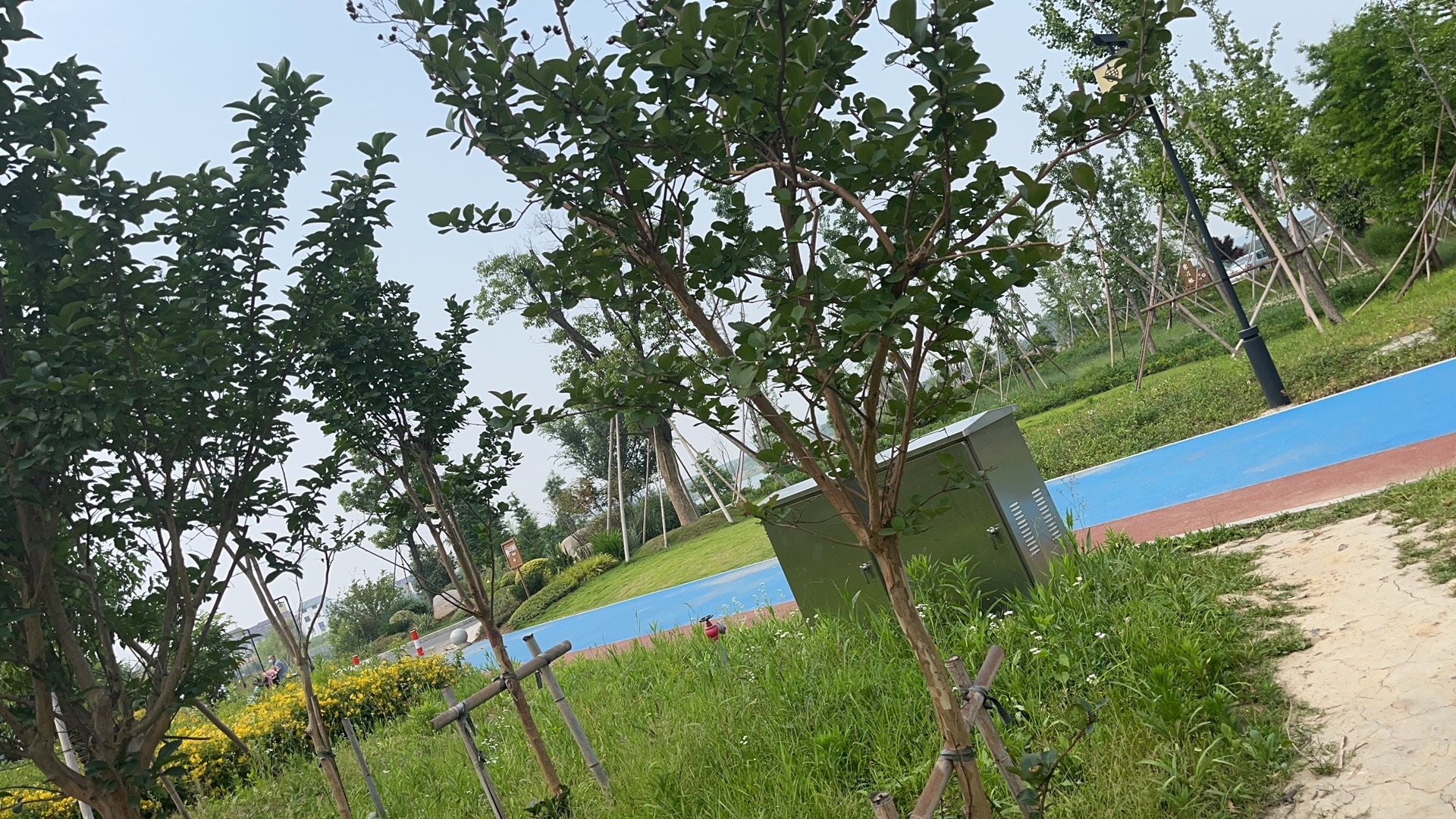 月湖公园旅行图片 2