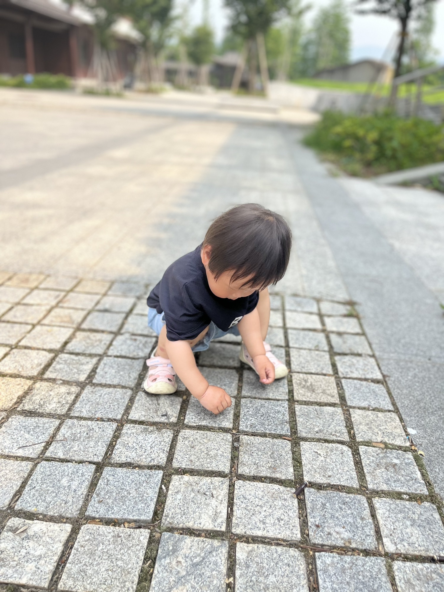 月湖公园旅行图片 3