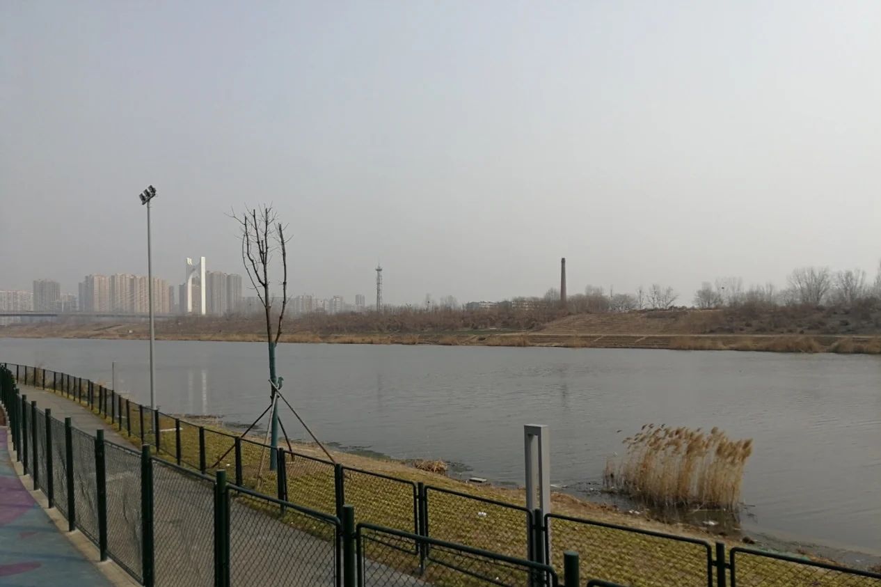 洸府河公园旅行图片 3