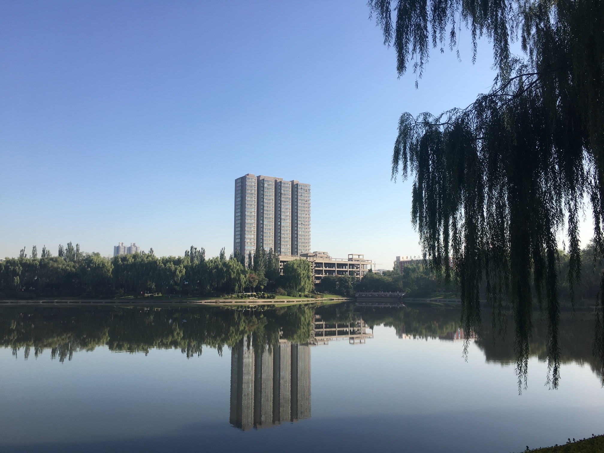 学府公园-亲水木平台A