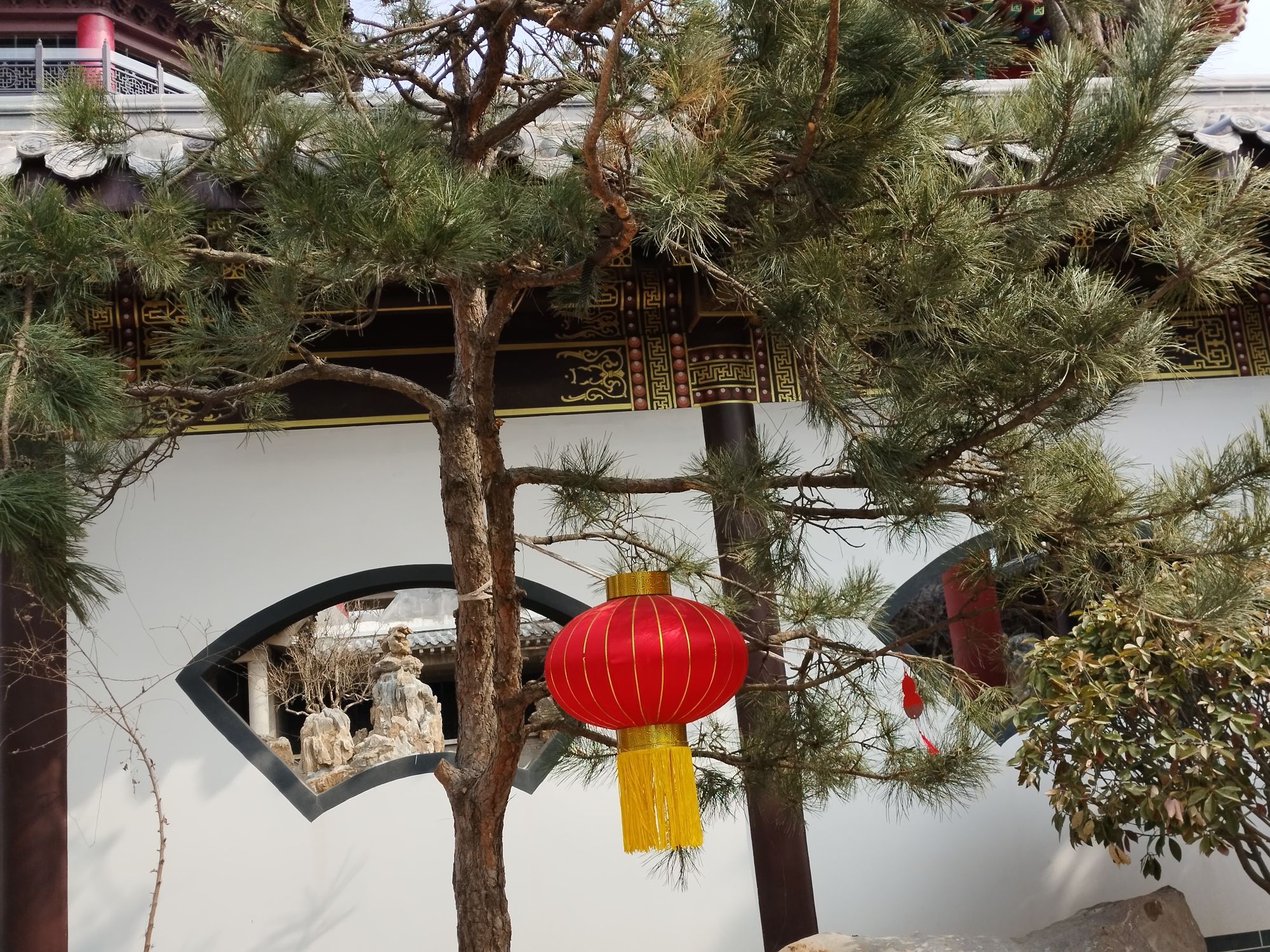 天井山旅行图片 1