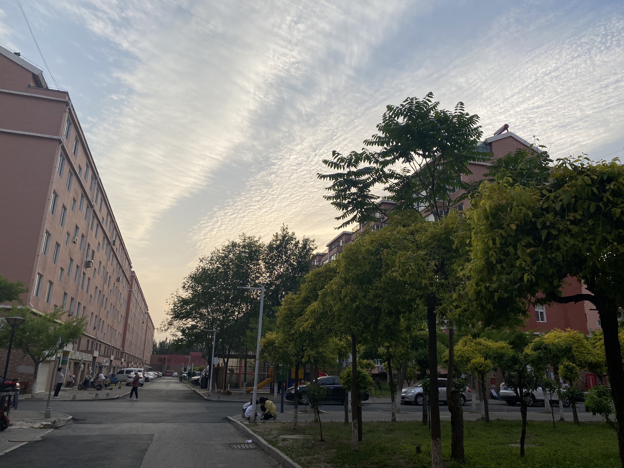 盘锦口袋公园