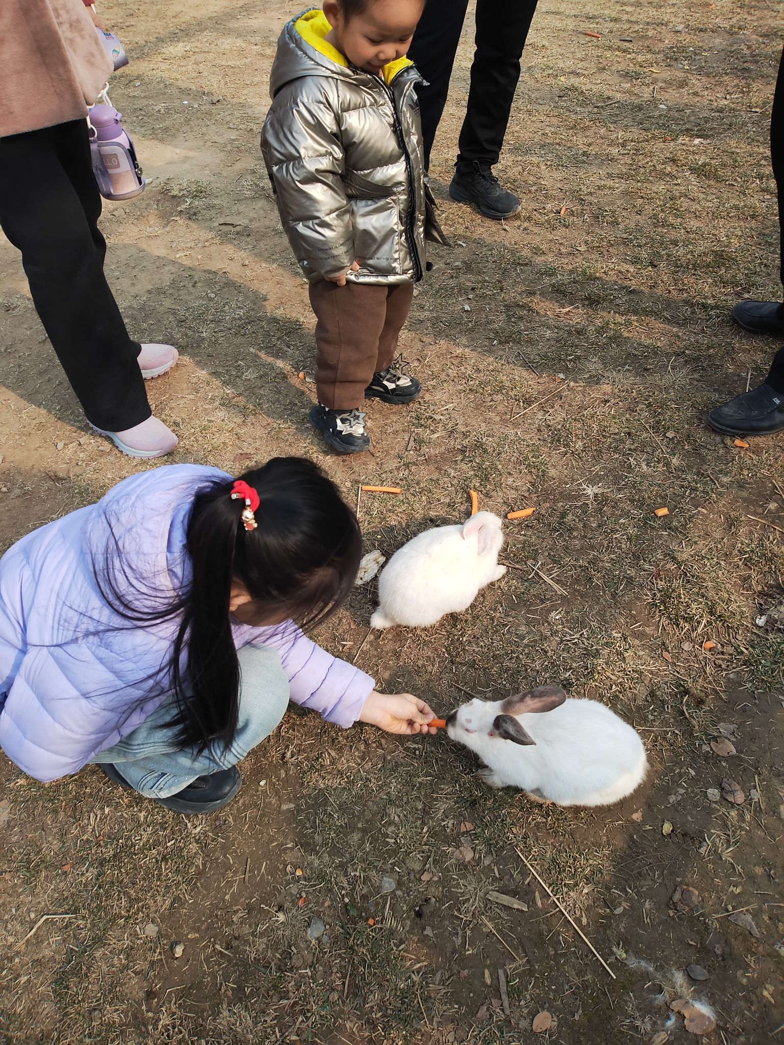 邯郸园博动物园旅行图片 2
