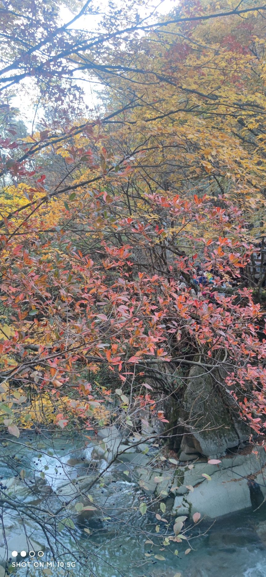 光雾山旅游景区-米仓山