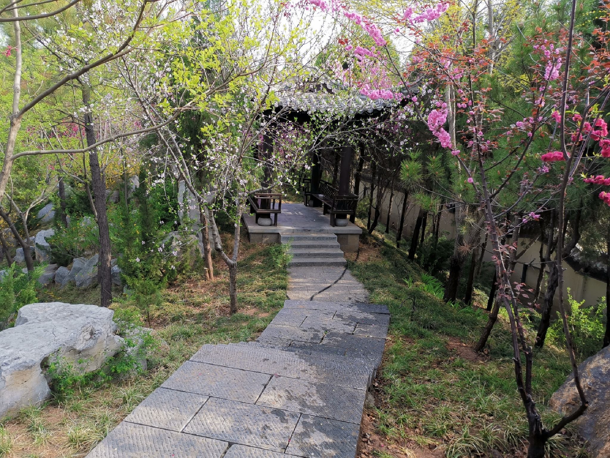 渚河源郊野公园旅行图片 1