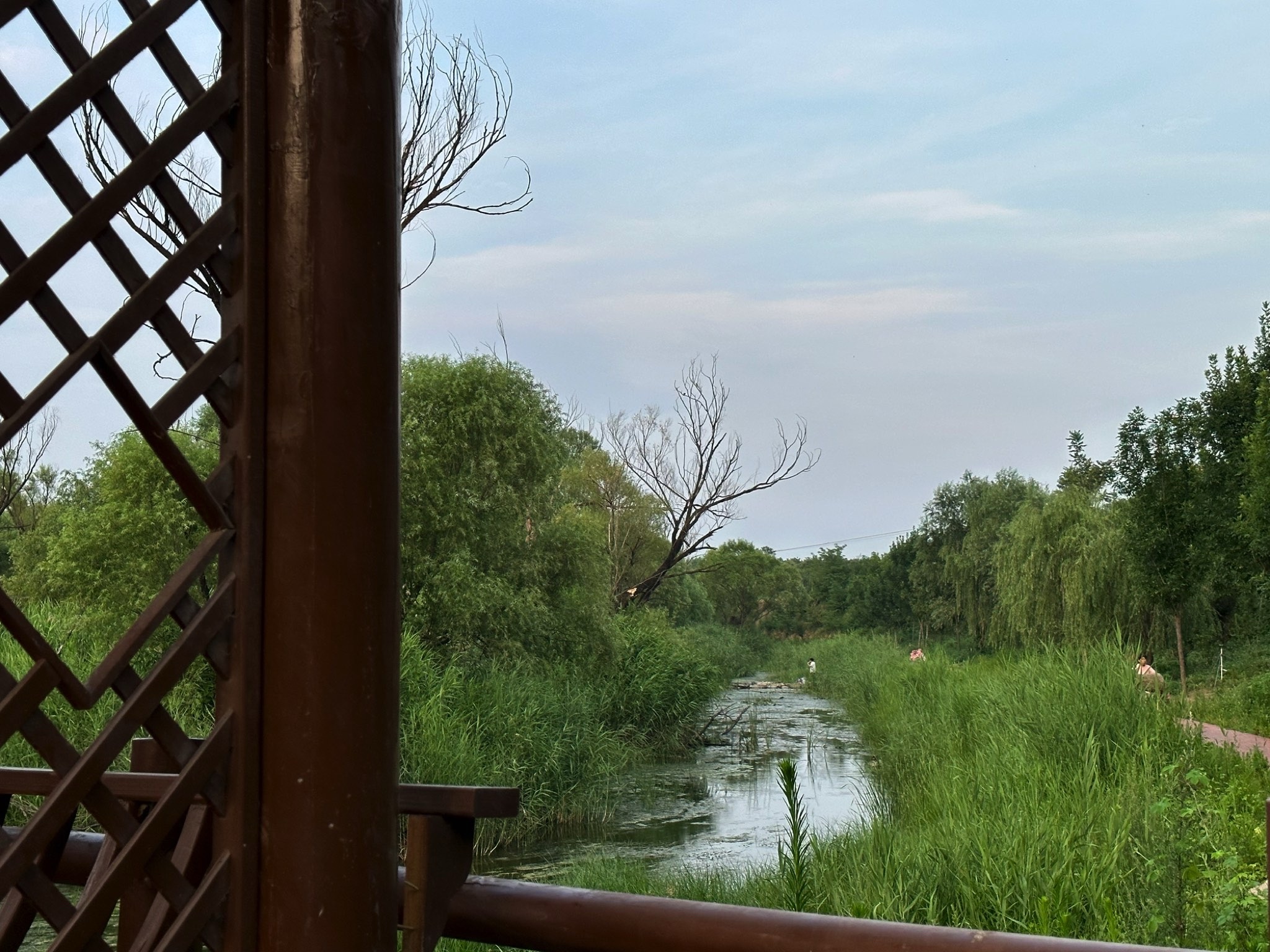 渚河源郊野公园旅行图片 3