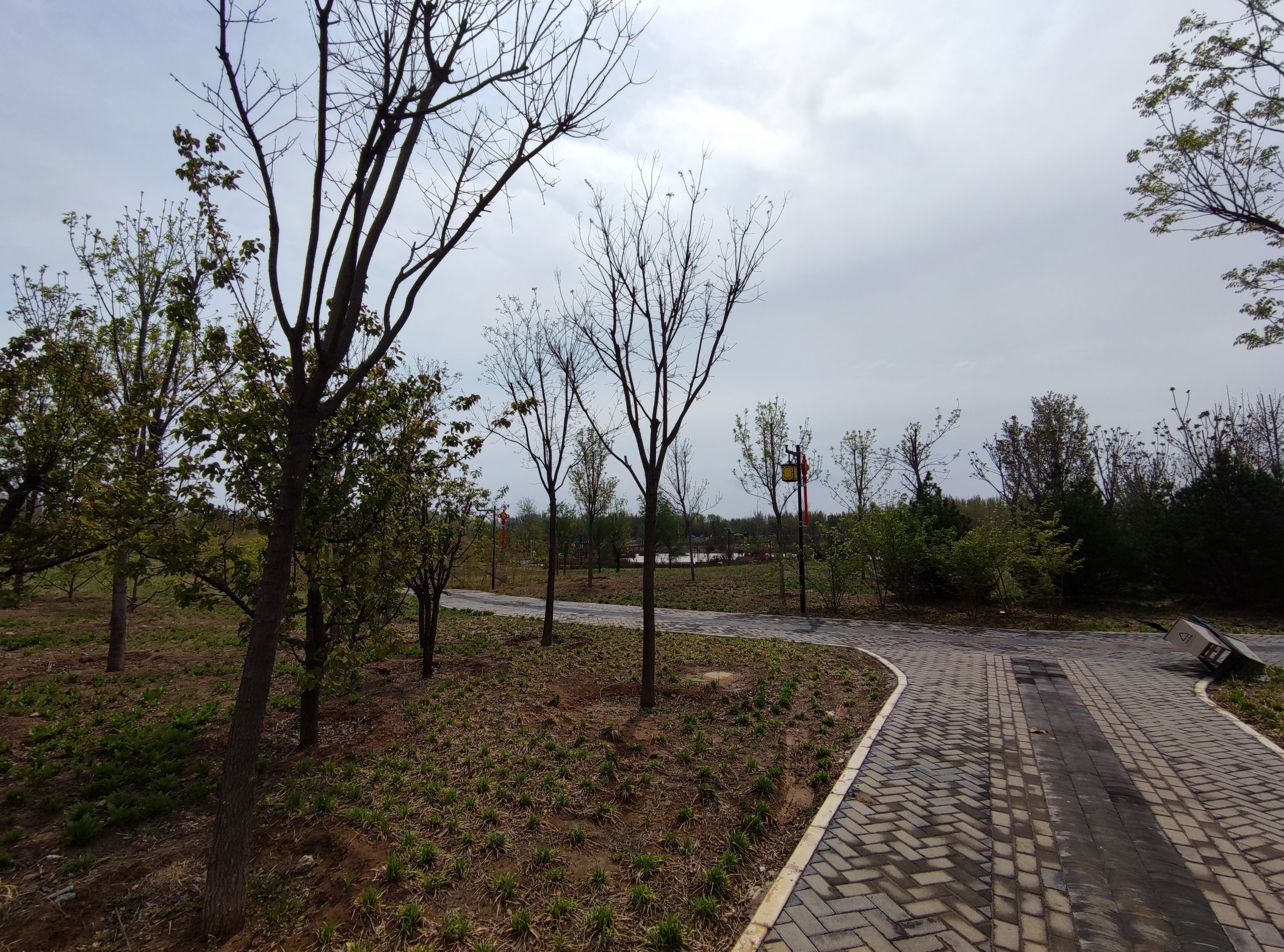 渚河源郊野公园旅行图片 1