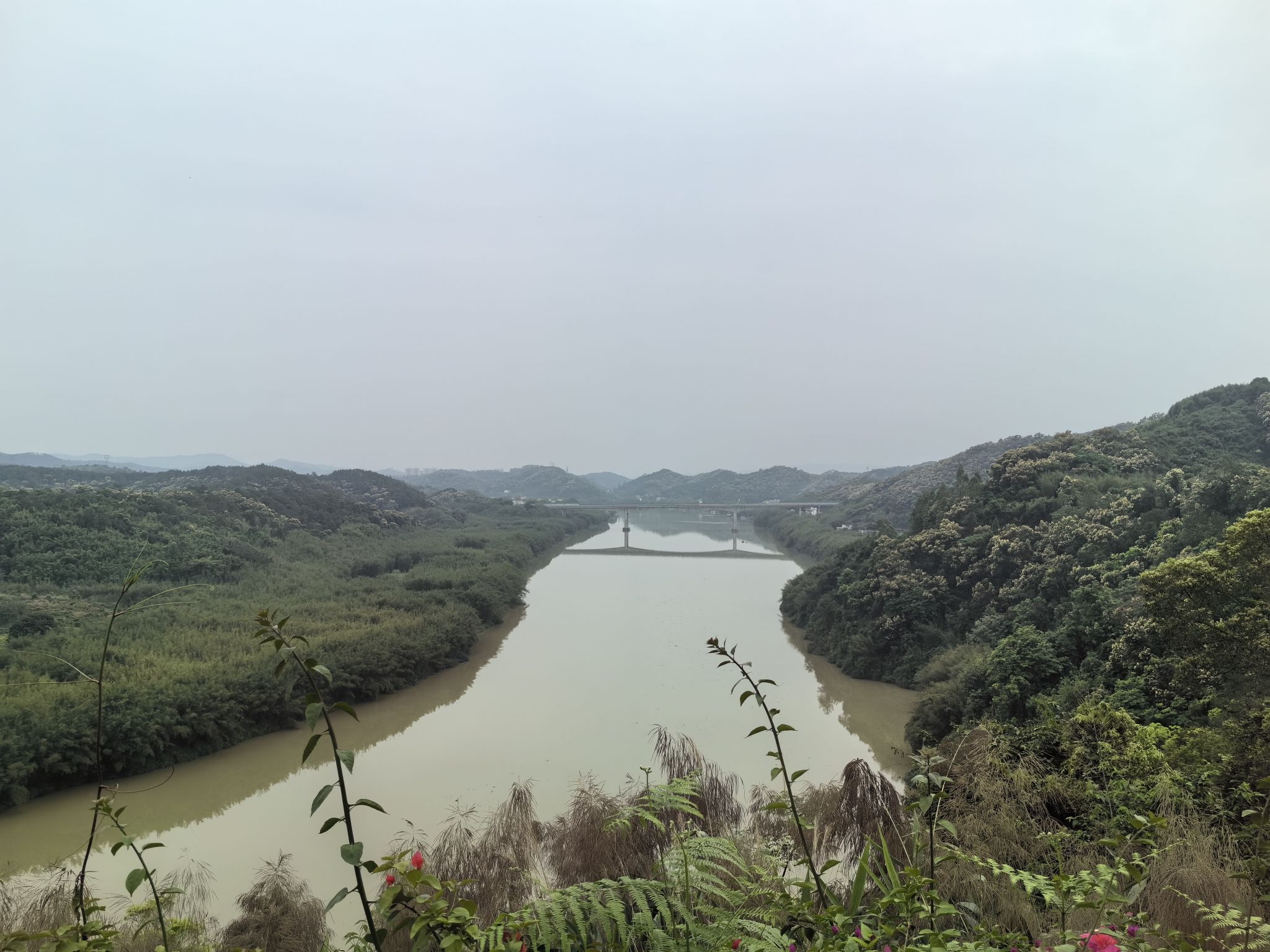 贺江碧道画廊旅行图片 2