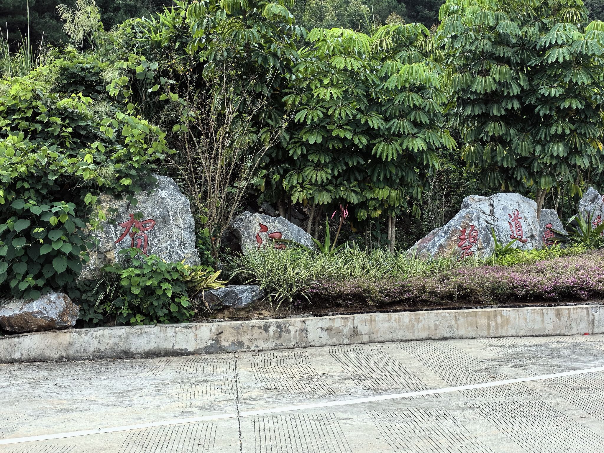 贺江碧道画廊旅行图片 1