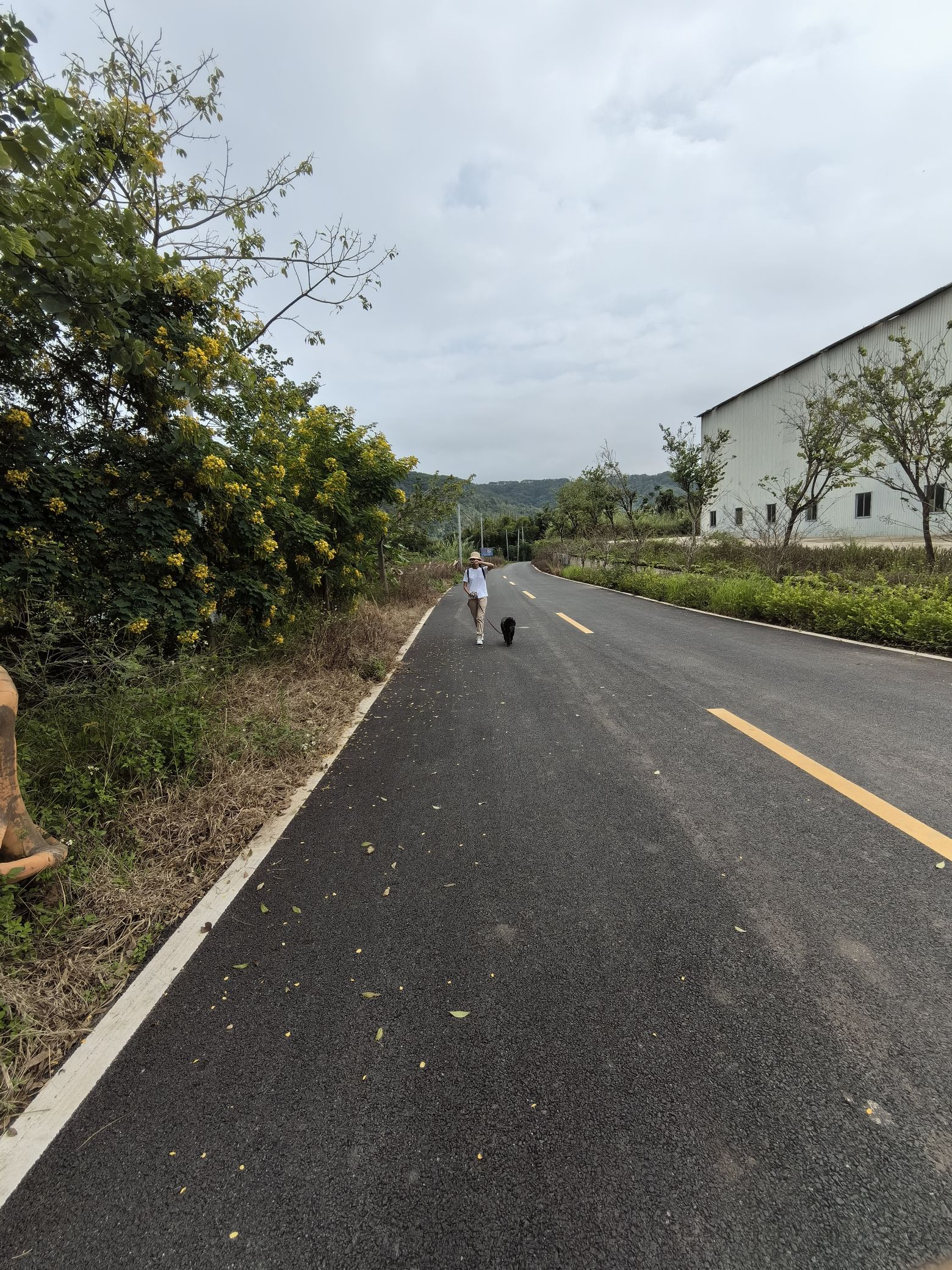 贺江碧道画廊旅行图片 3