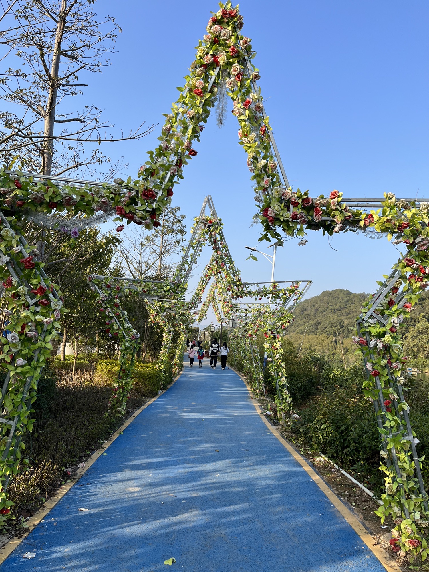 贺江碧道画廊旅行图片 3