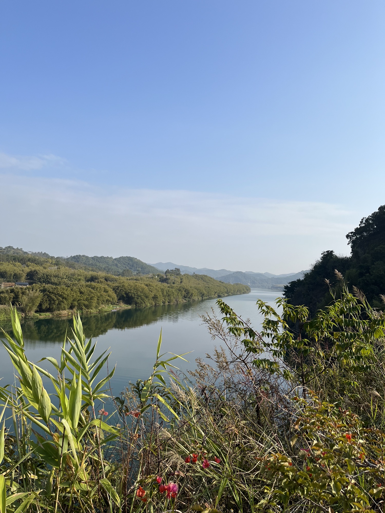 贺江碧道画廊旅行图片 2