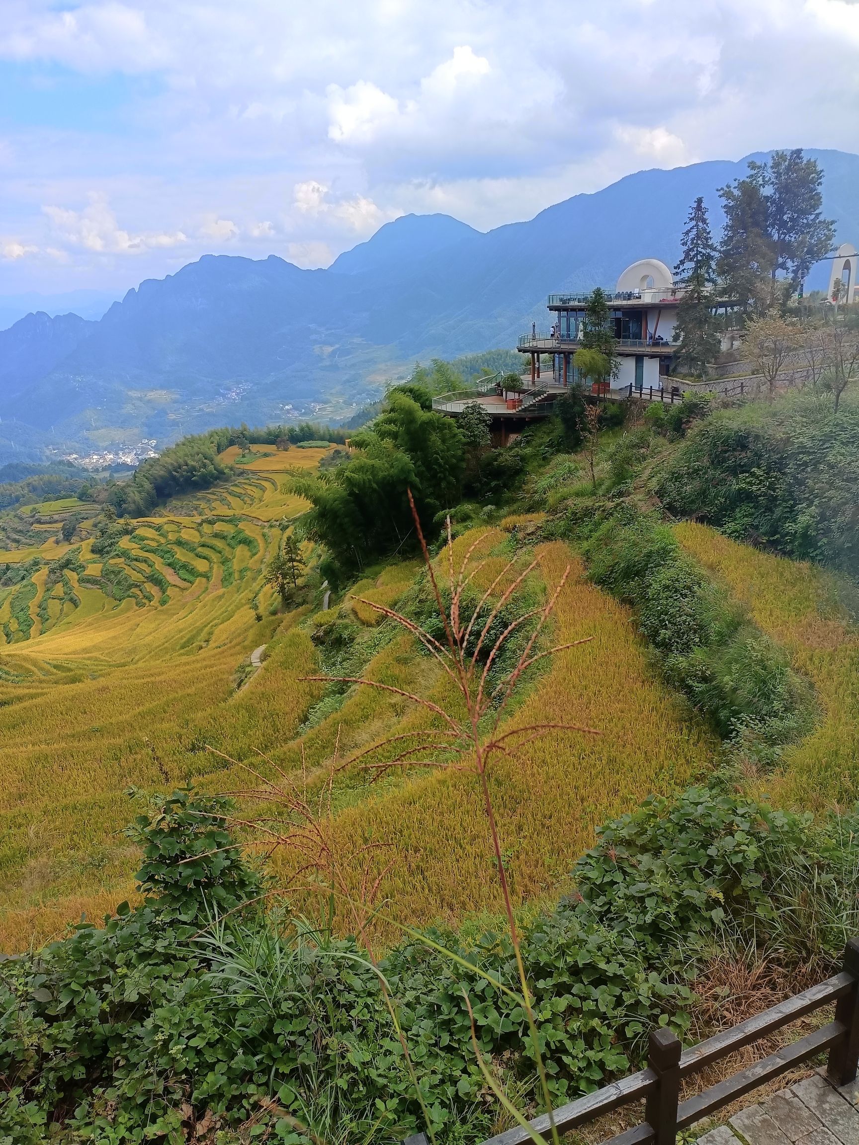 樱花谷旅行图片 3