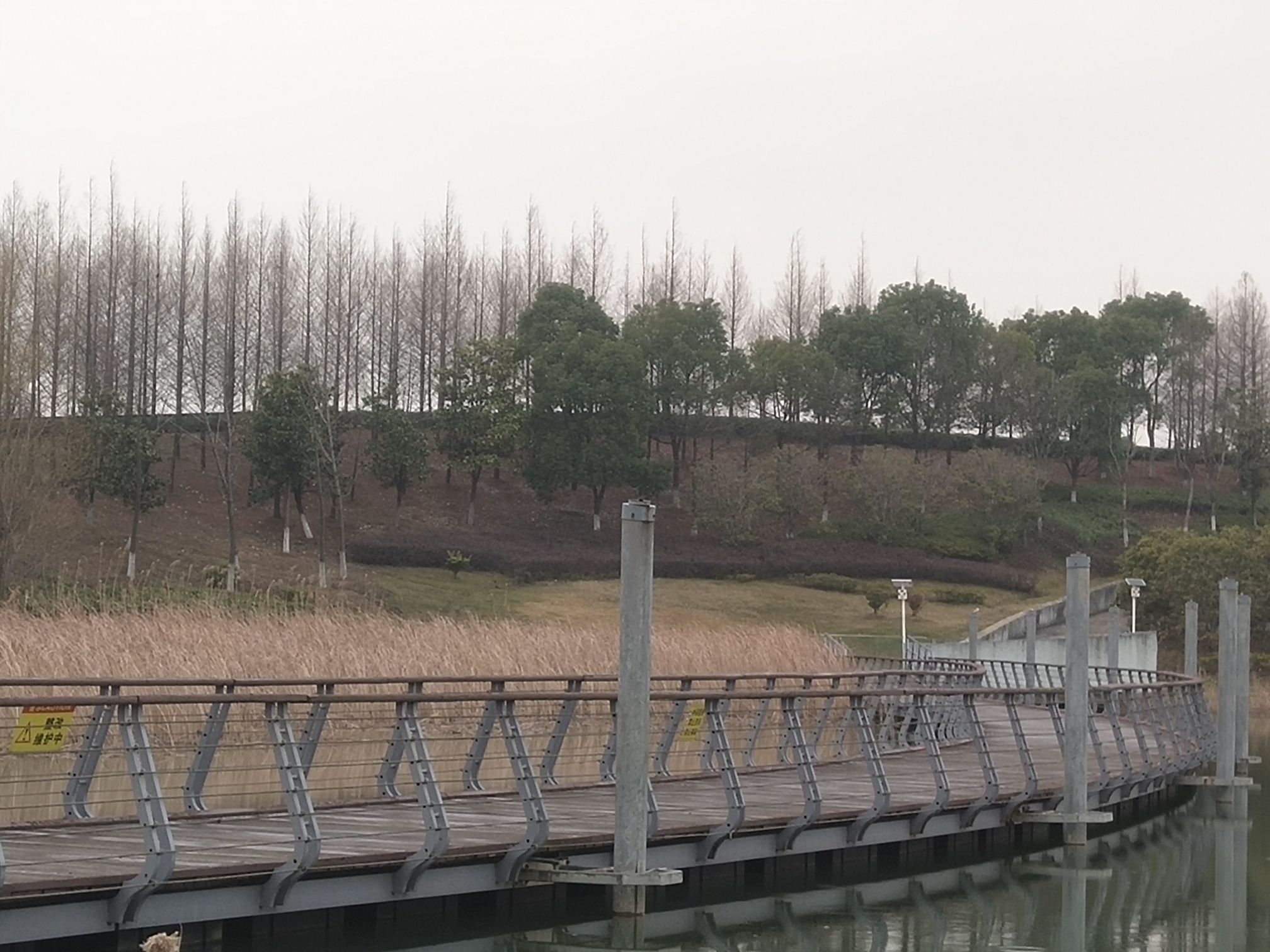 生态岛湿地公园旅行图片 2