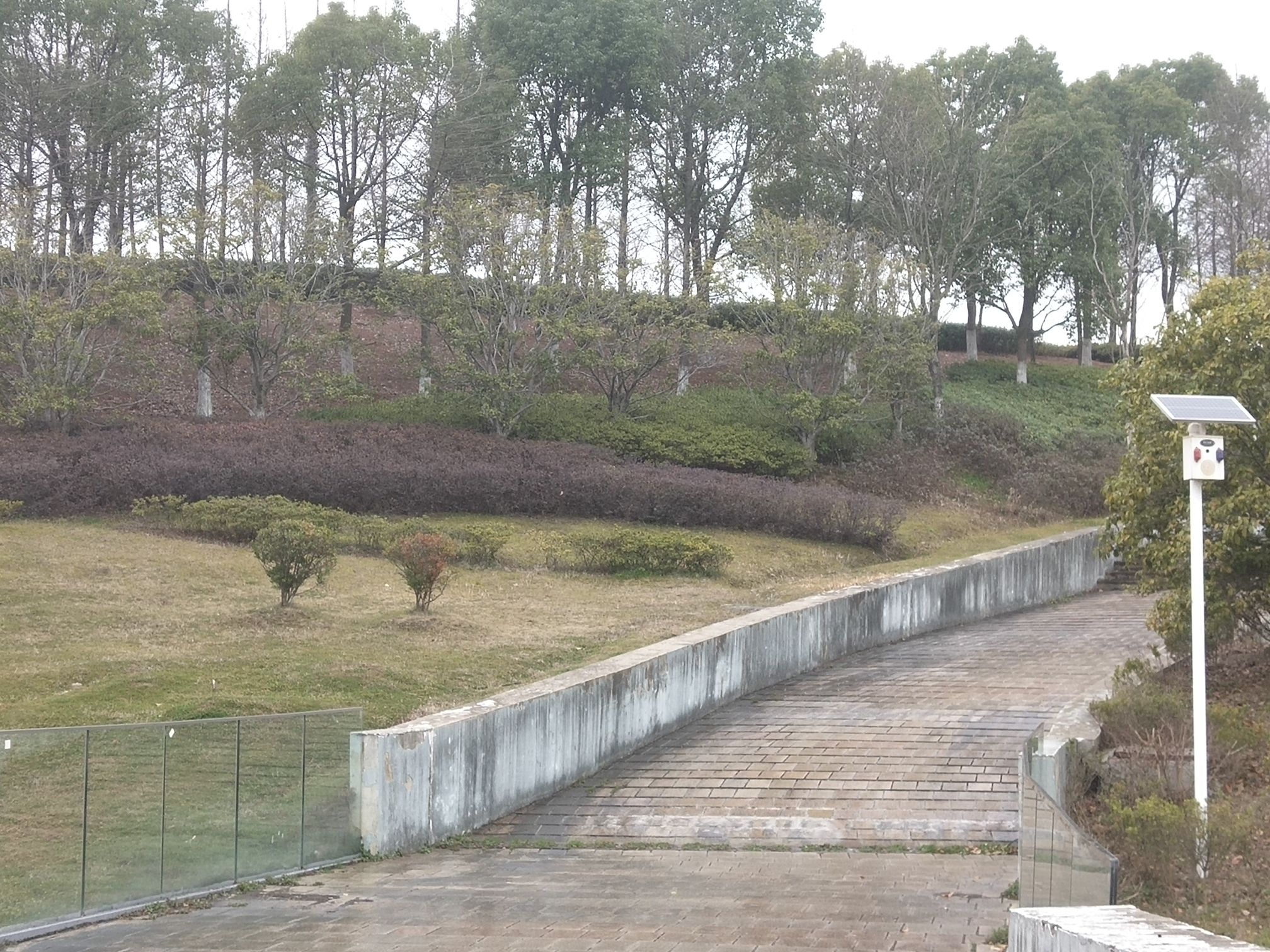 生态岛湿地公园旅行图片 3