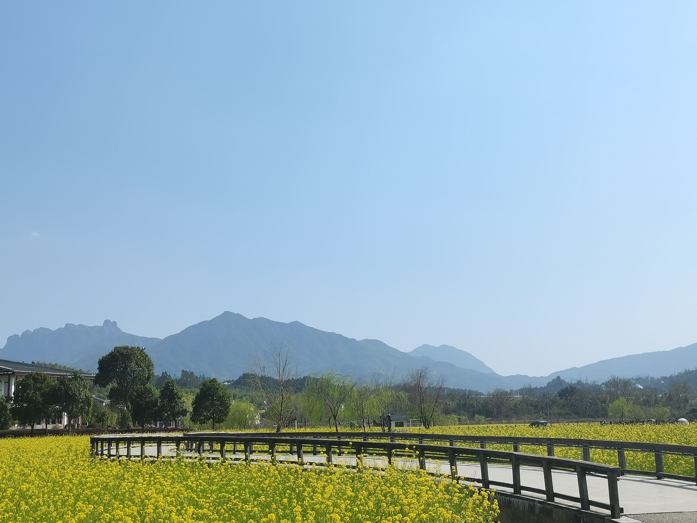 修竹荷苑景区旅行图片 2