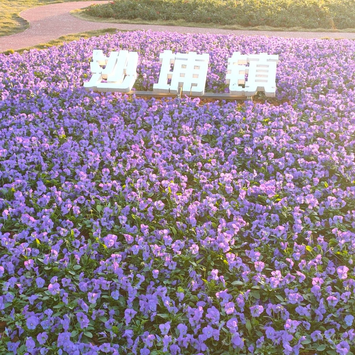 福清市儿童公园旅行图片 3