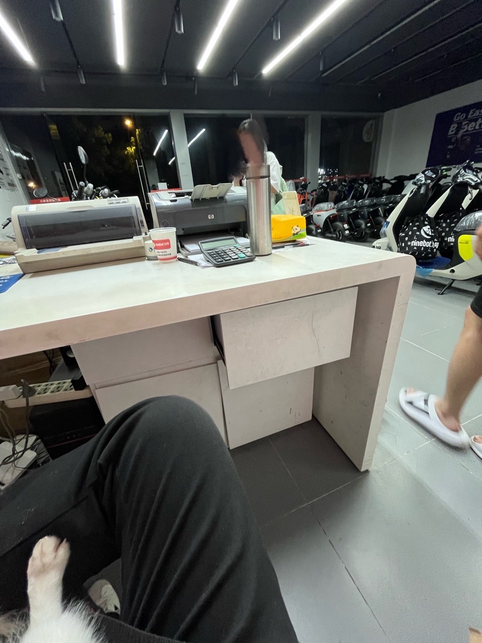 九号电动车(柏叶西路店)