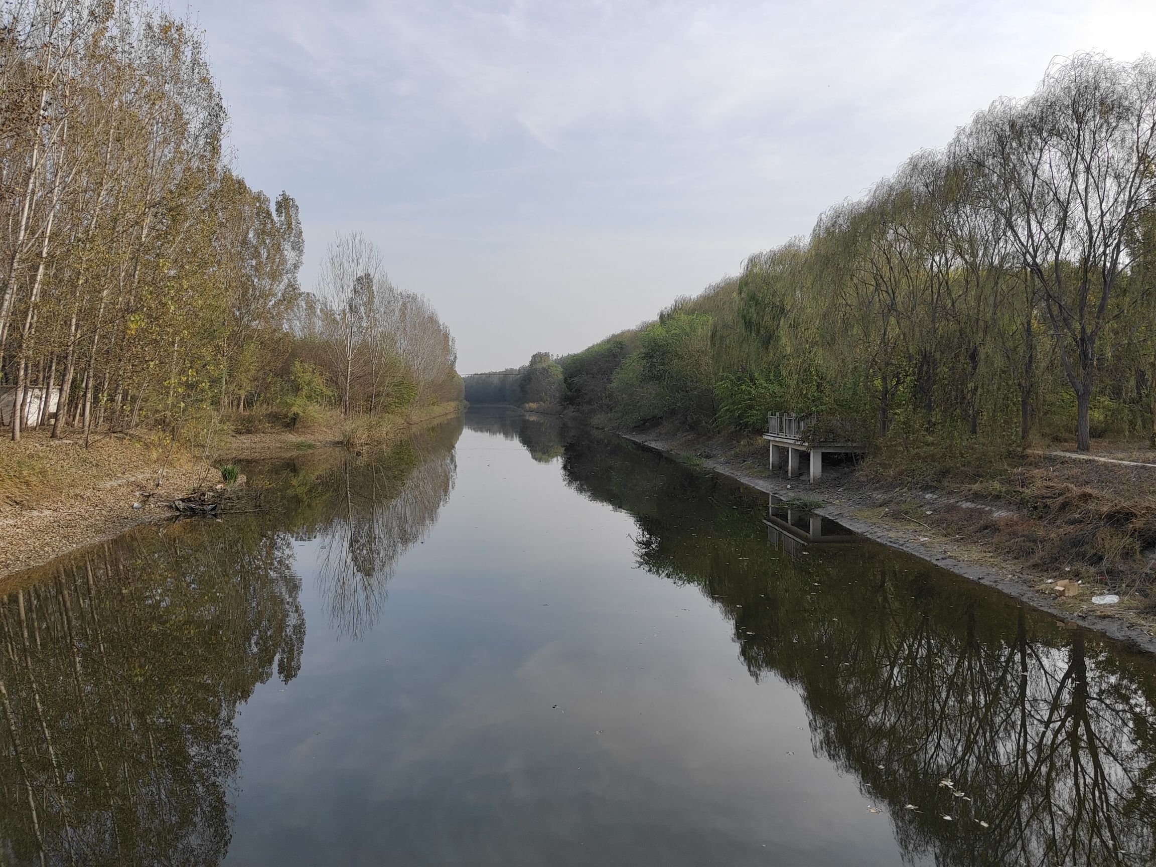 天津青龙湾森林公园(不对外开放)旅行图片 2