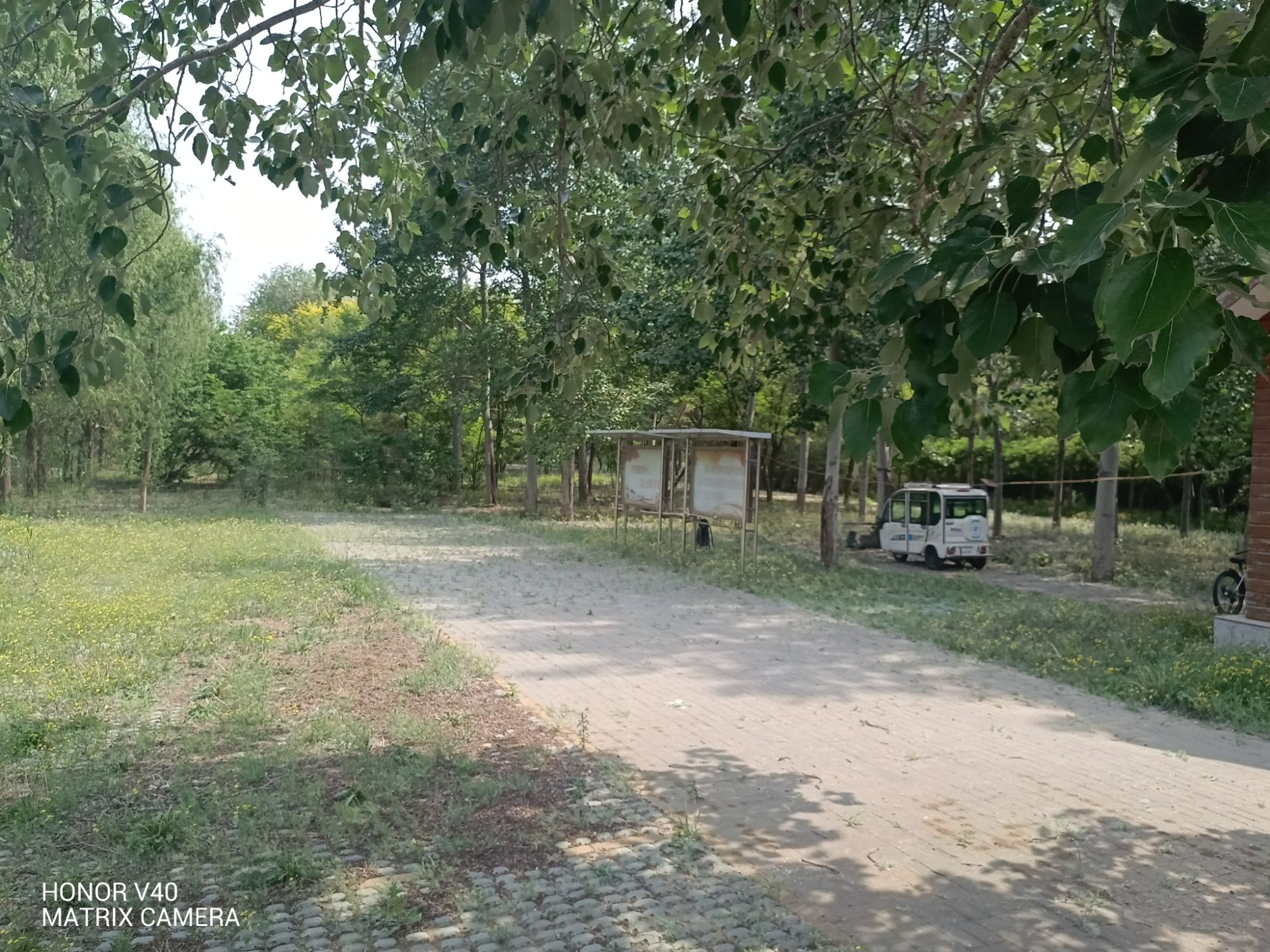 天津青龙湾森林公园(不对外开放)旅行图片 2