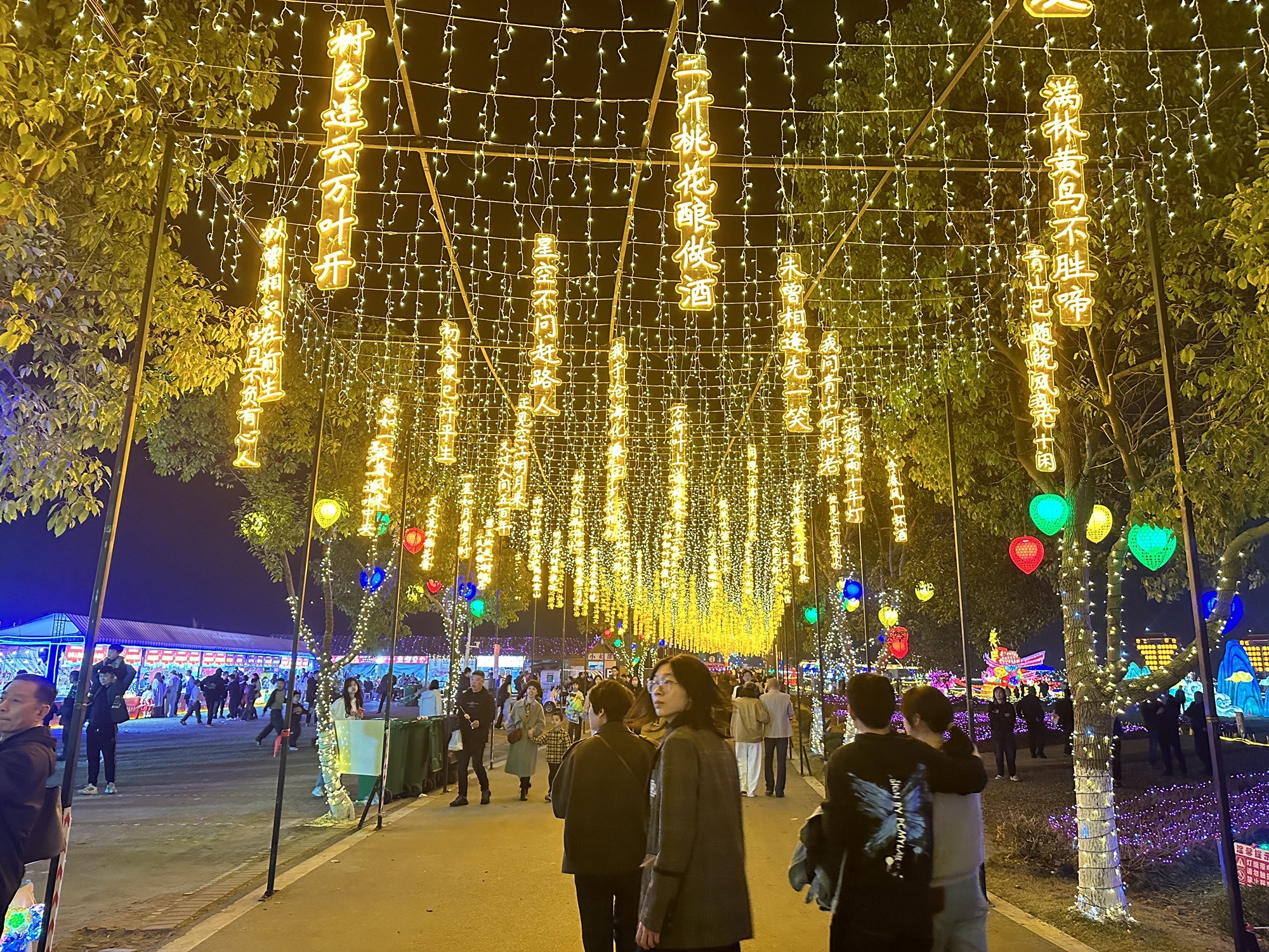 曹村镇花灯公园景区旅行图片 3