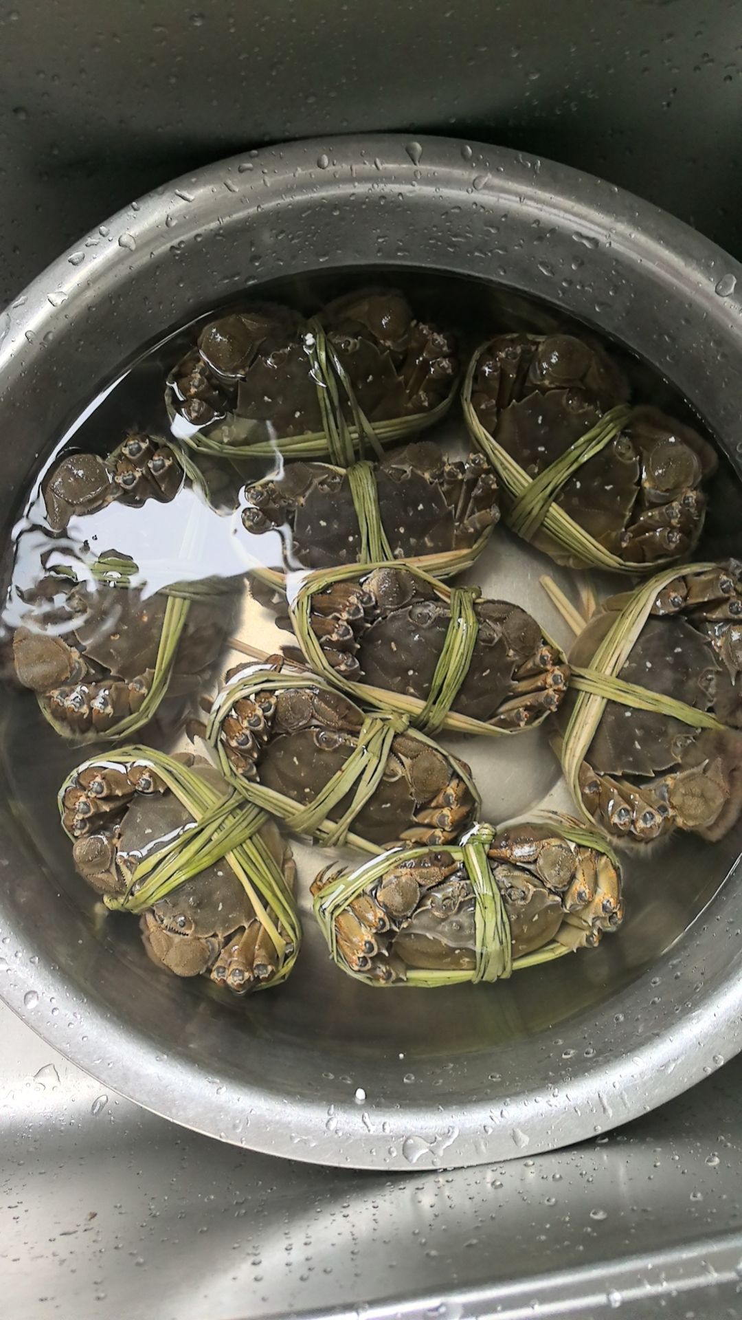北安丰大闸蟹