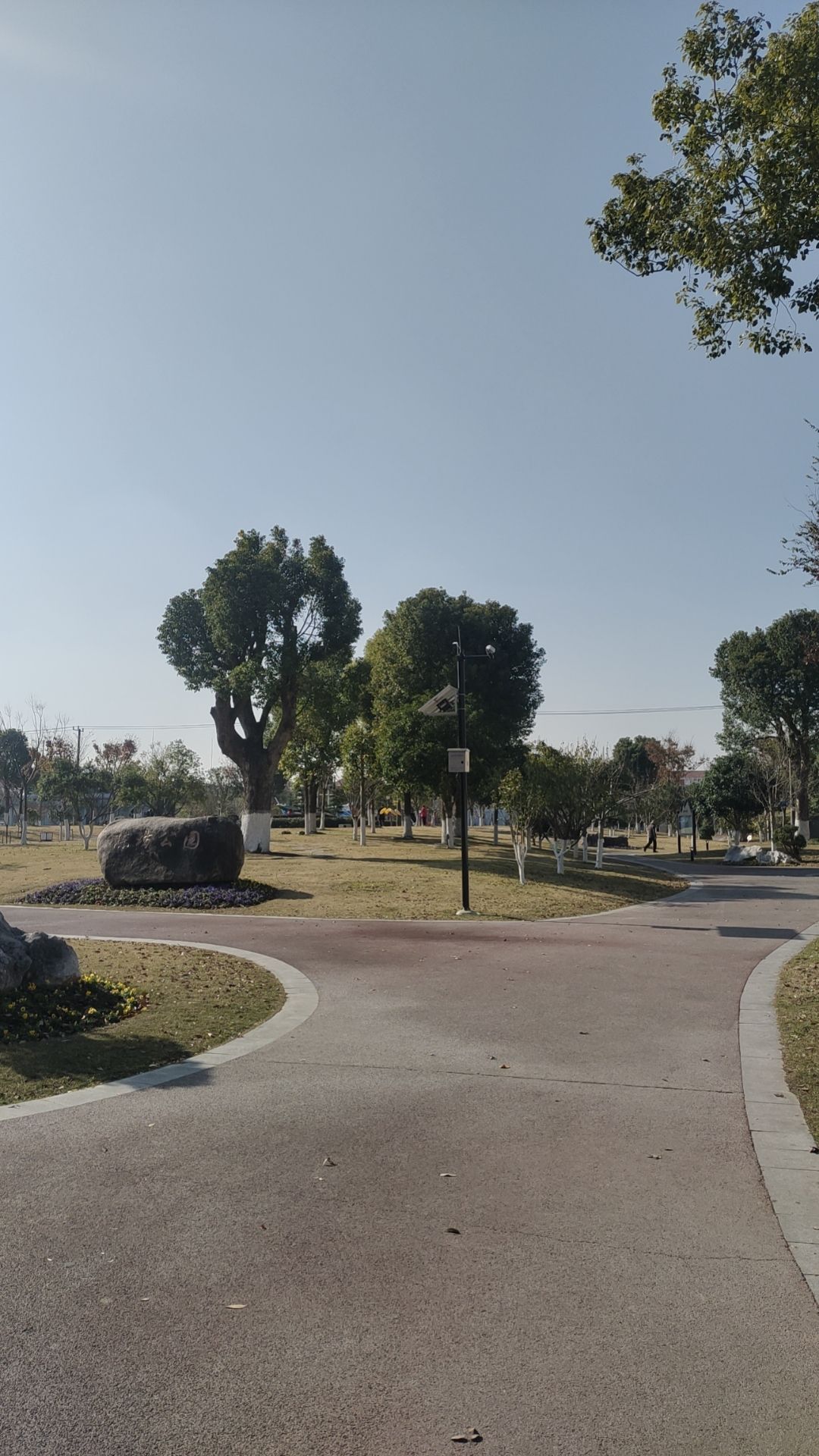 陈坊公园旅行图片 2