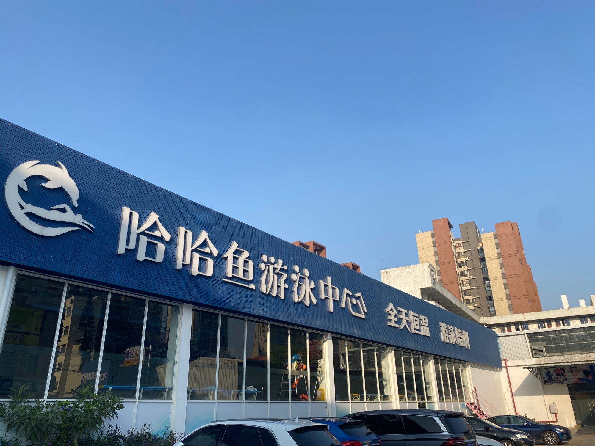哈哈鱼游泳中心(东城石井店)