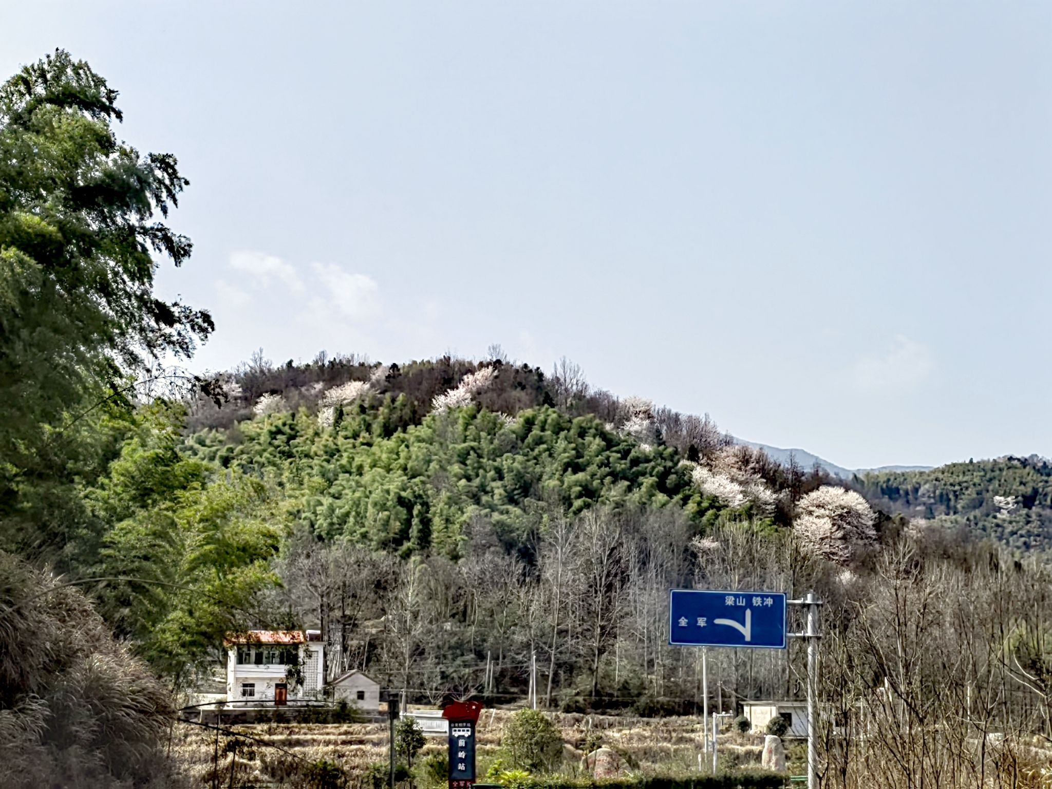 樱花谷旅行图片 3