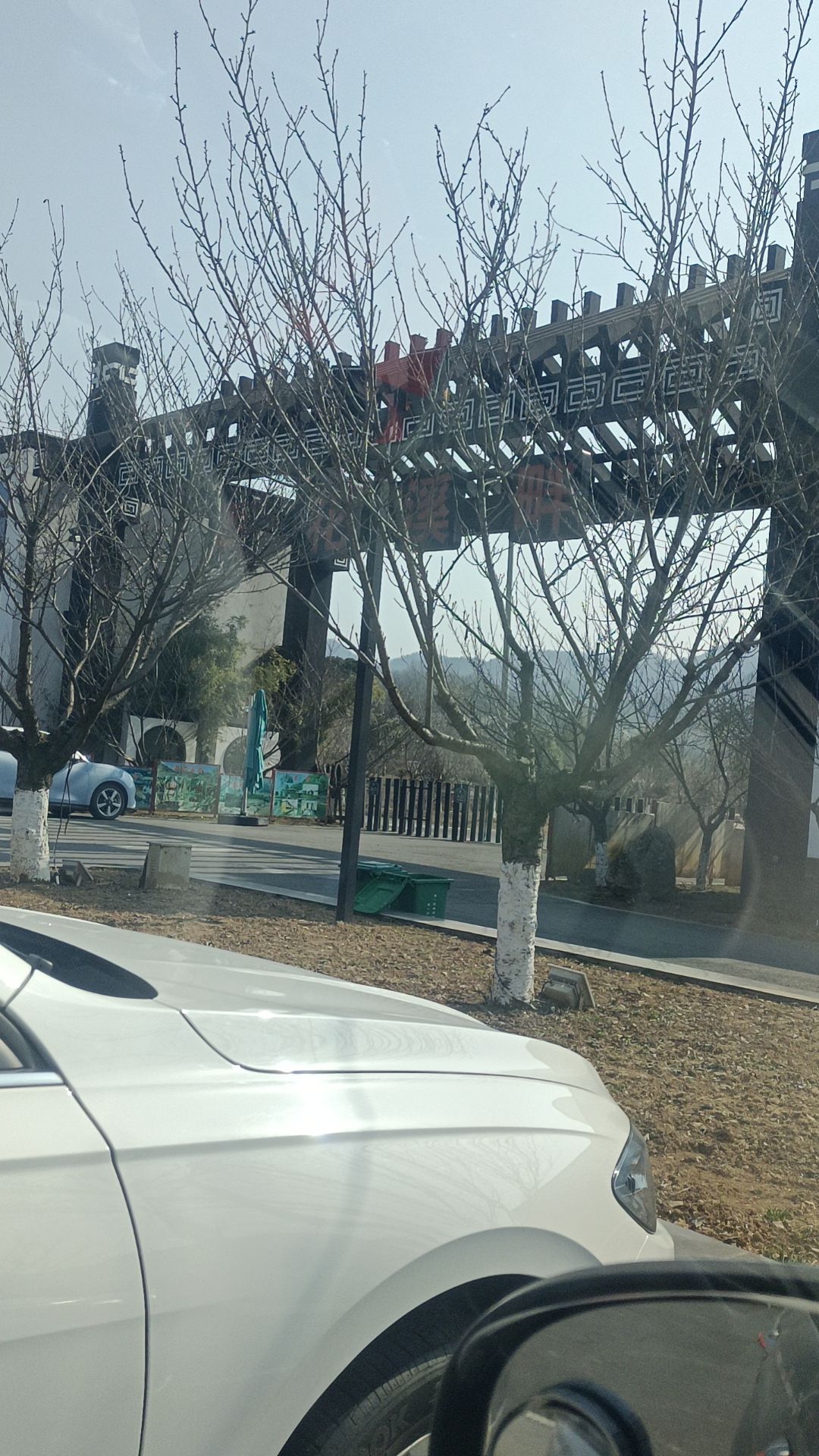 樱花谷旅行图片 1