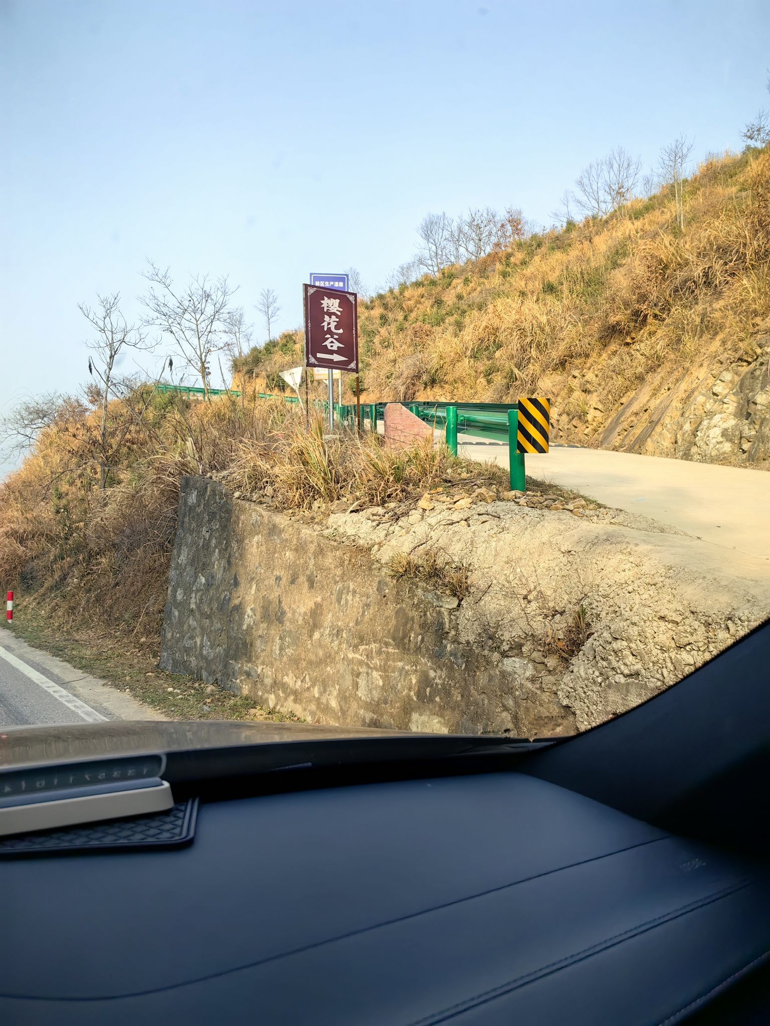 樱花谷旅行图片 1