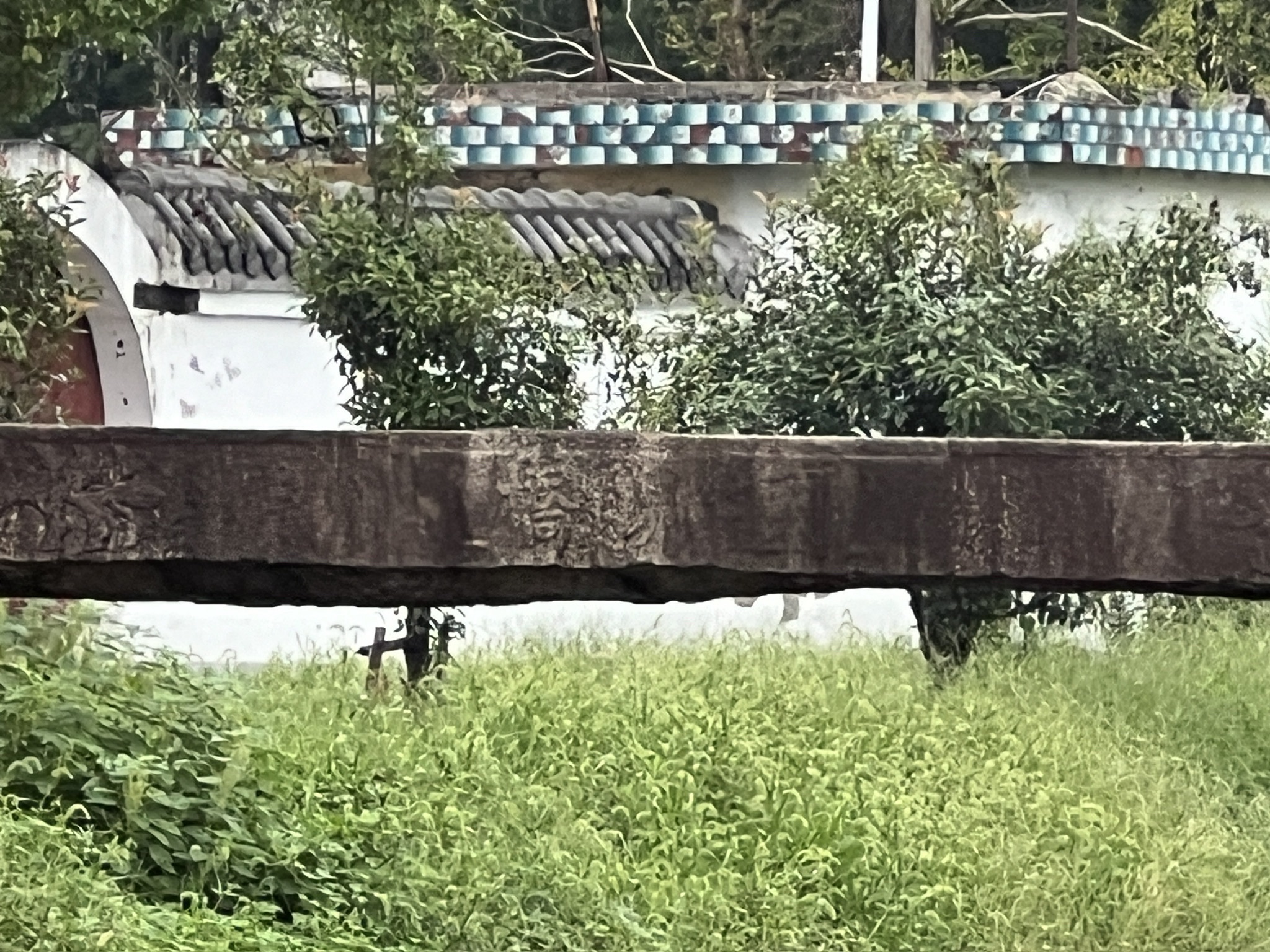 国界桥旅行图片 2