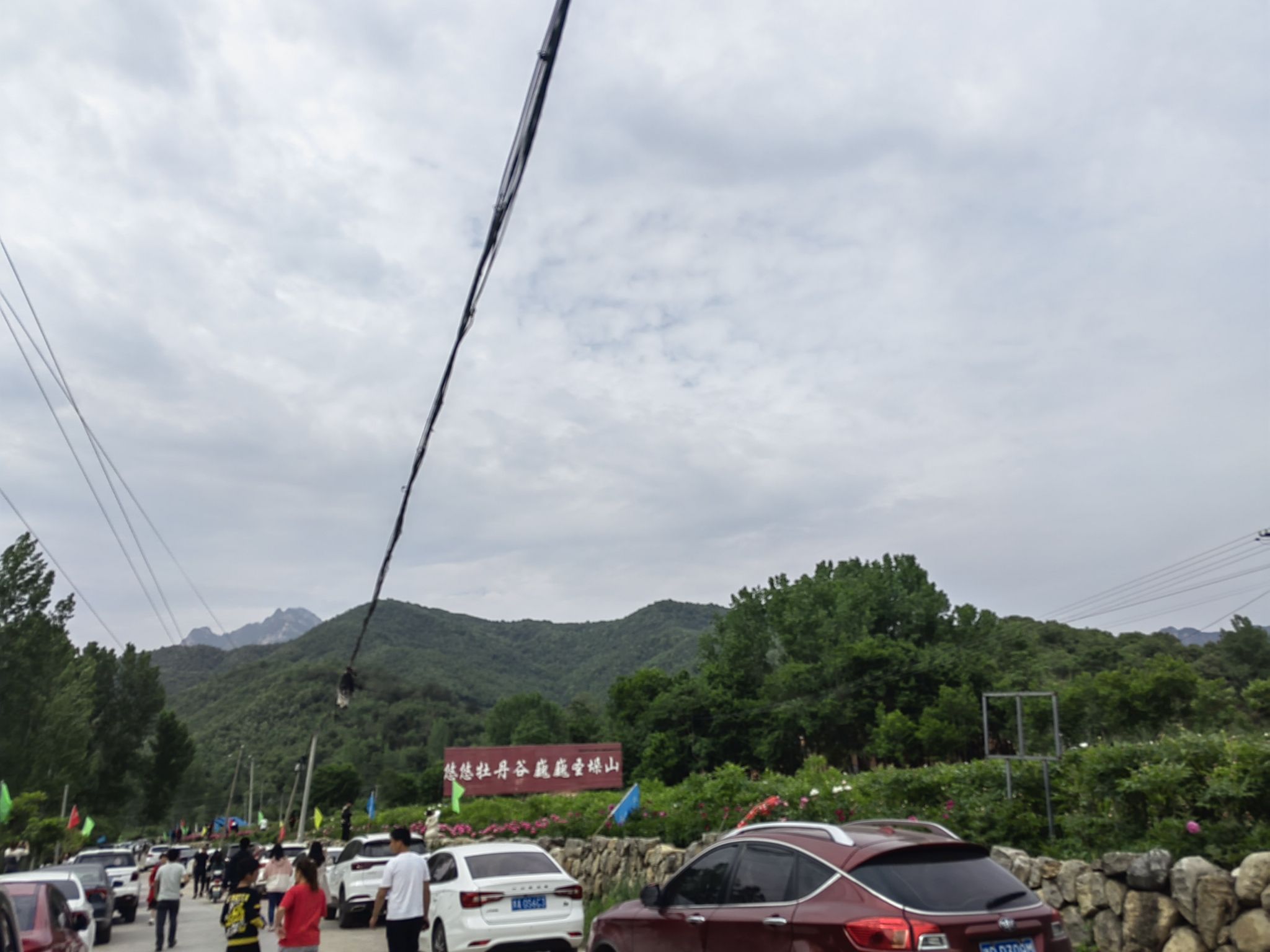 牧丹谷旅行图片 1