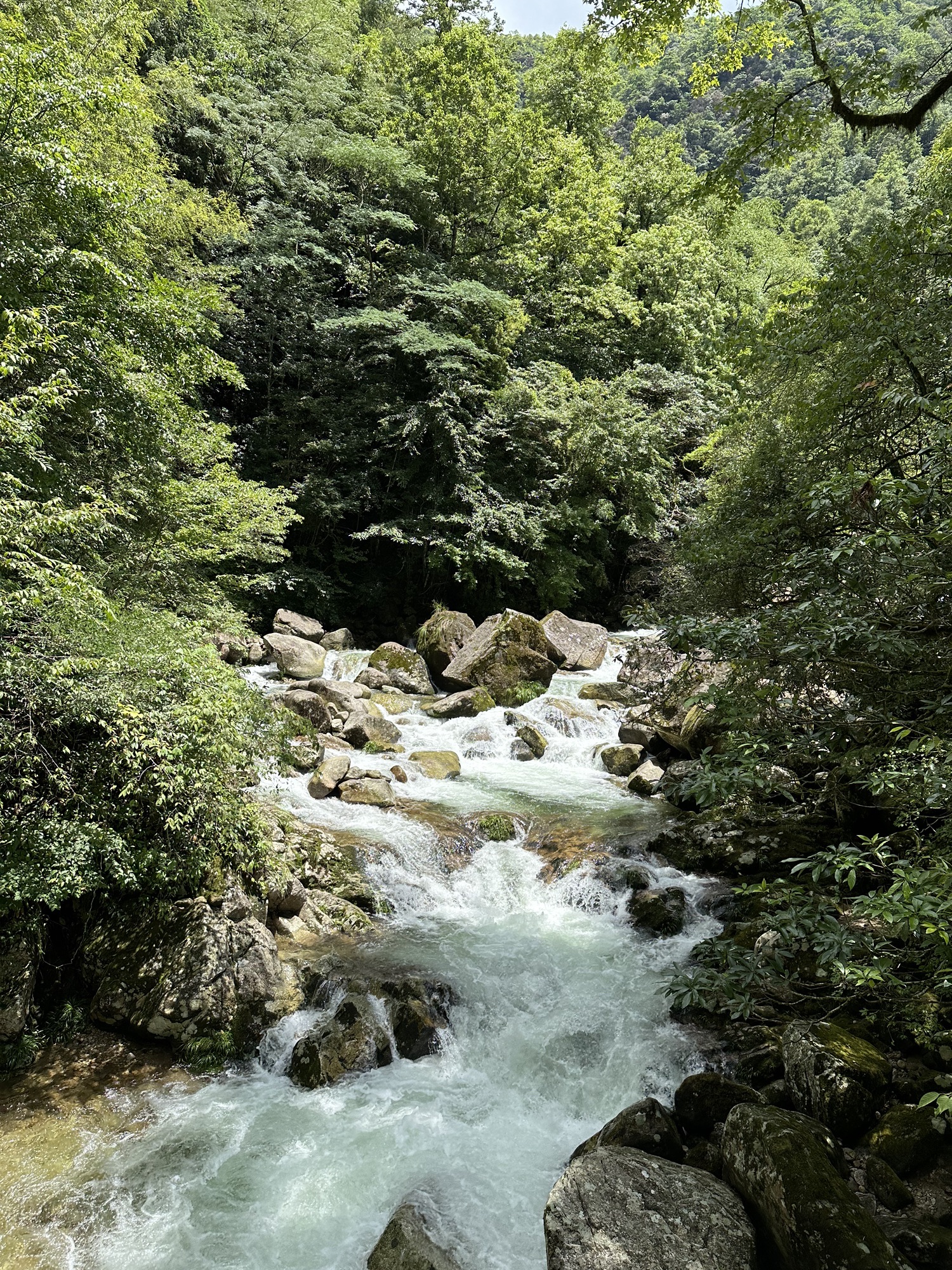 云上大院旅行图片 3