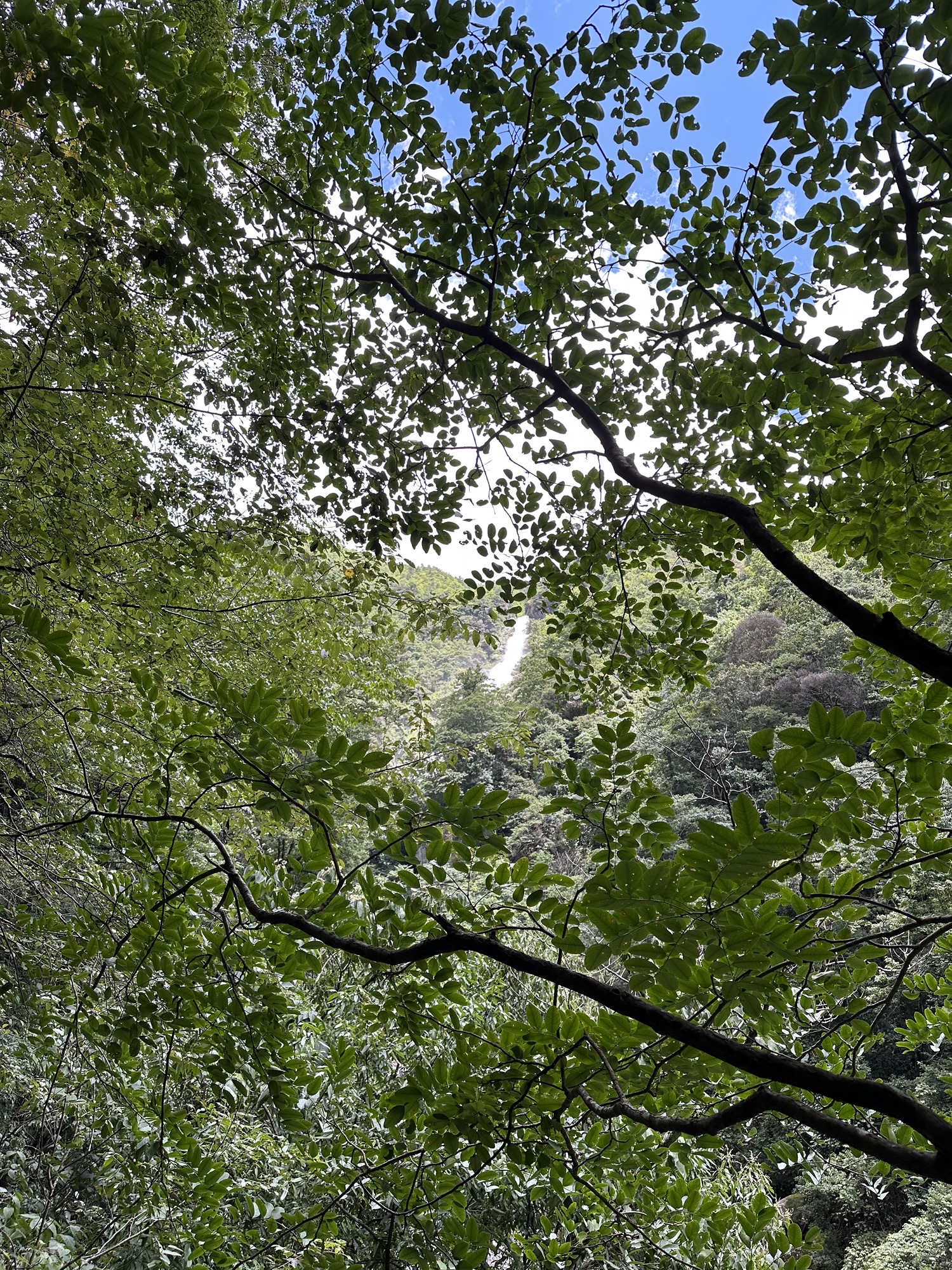 云上大院旅行图片 2