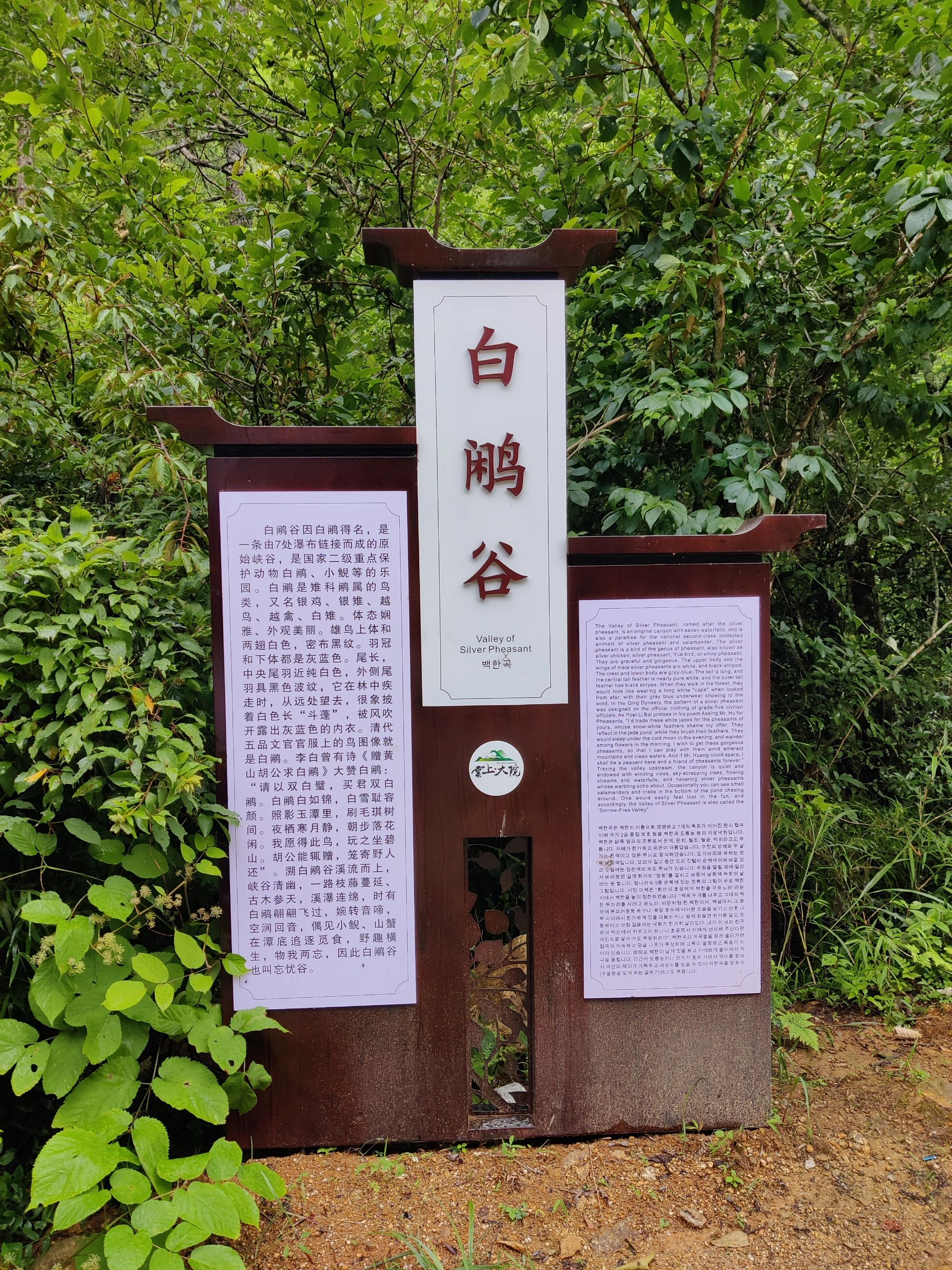 云上大院旅行图片 2